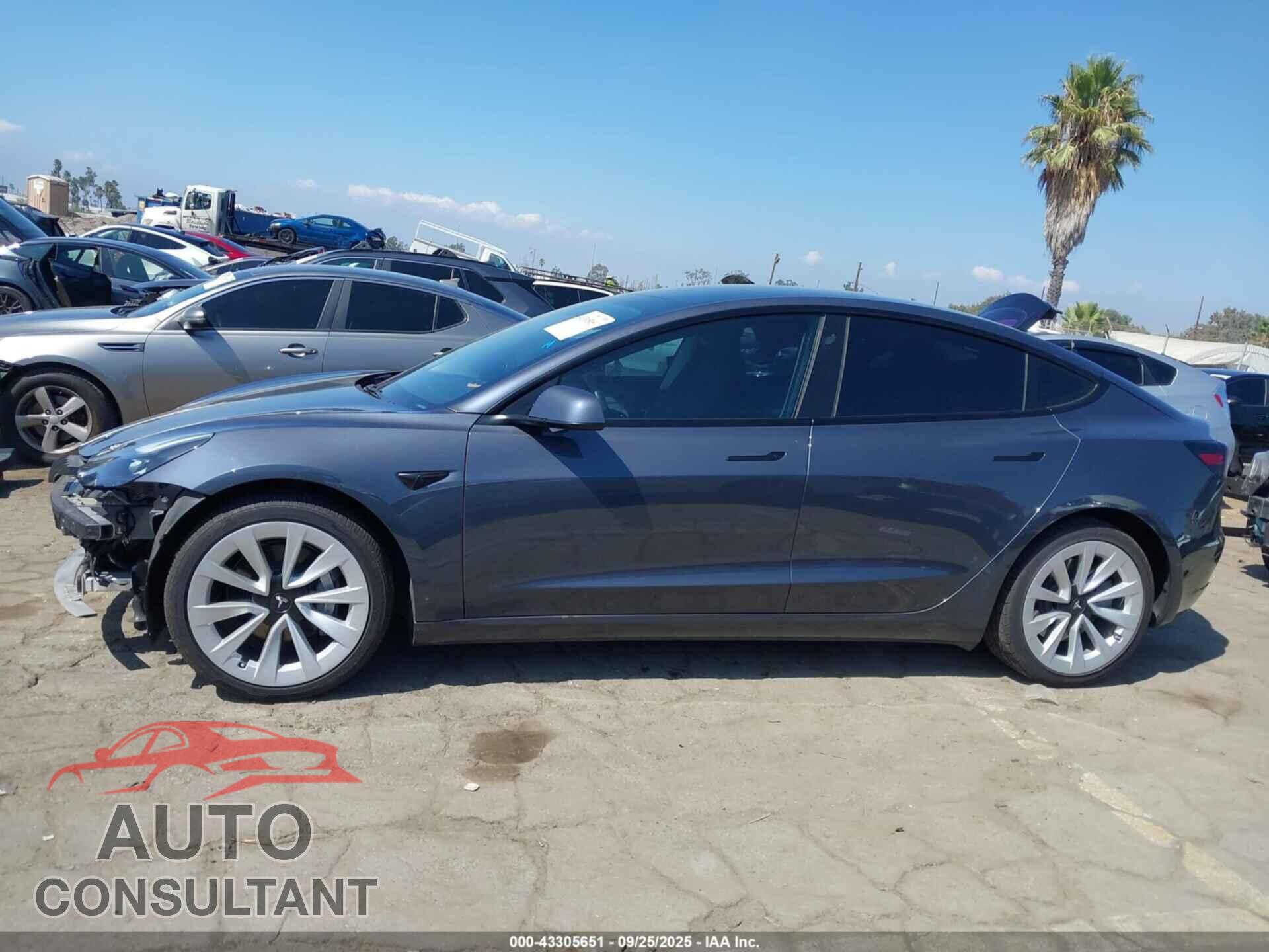 TESLA MODEL 3 2022 - 5YJ3E1EA2NF373541