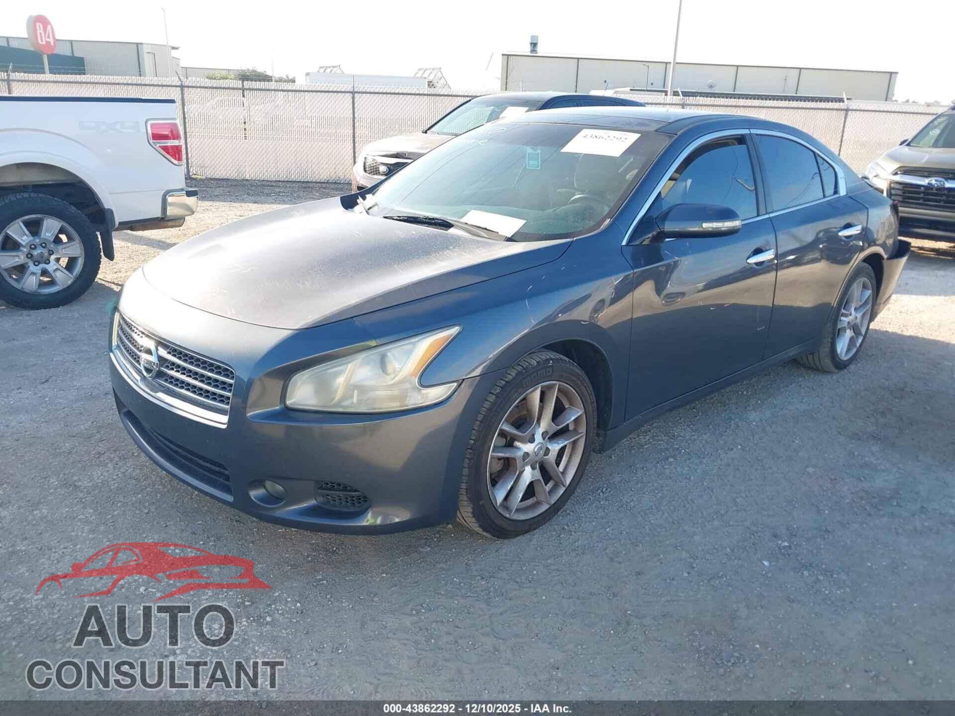 NISSAN MAXIMA 2009 - 1N4AA51E19C857521