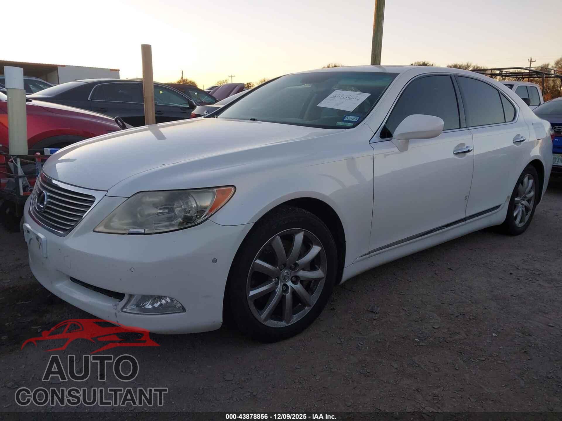 LEXUS LS 460 2009 - JTHBL46F095085357