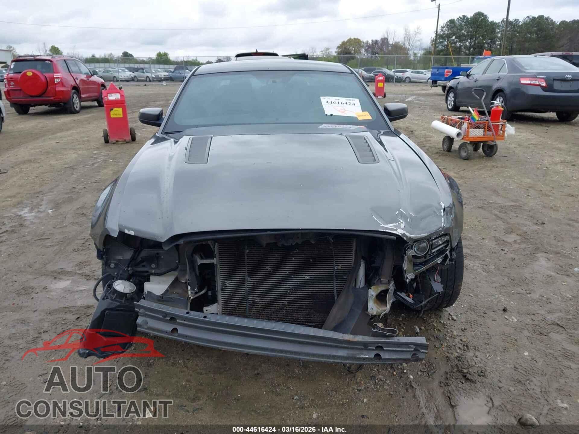 FORD MUSTANG 2013 - 1ZVBP8CF9D5229155