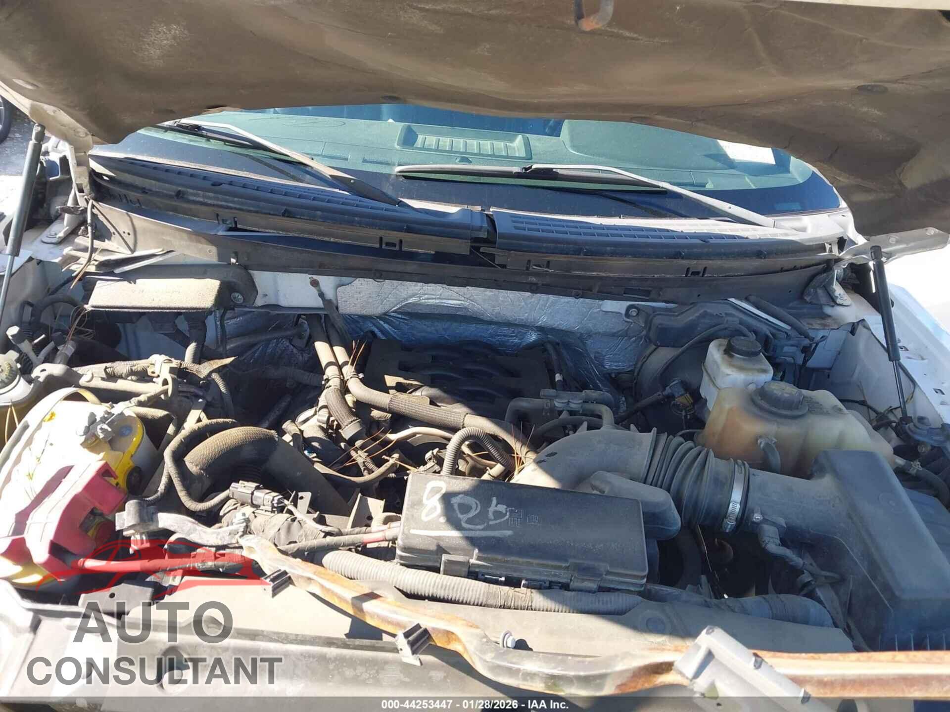 FORD F-150 2011 - 1FTFW1EF9BFC17607