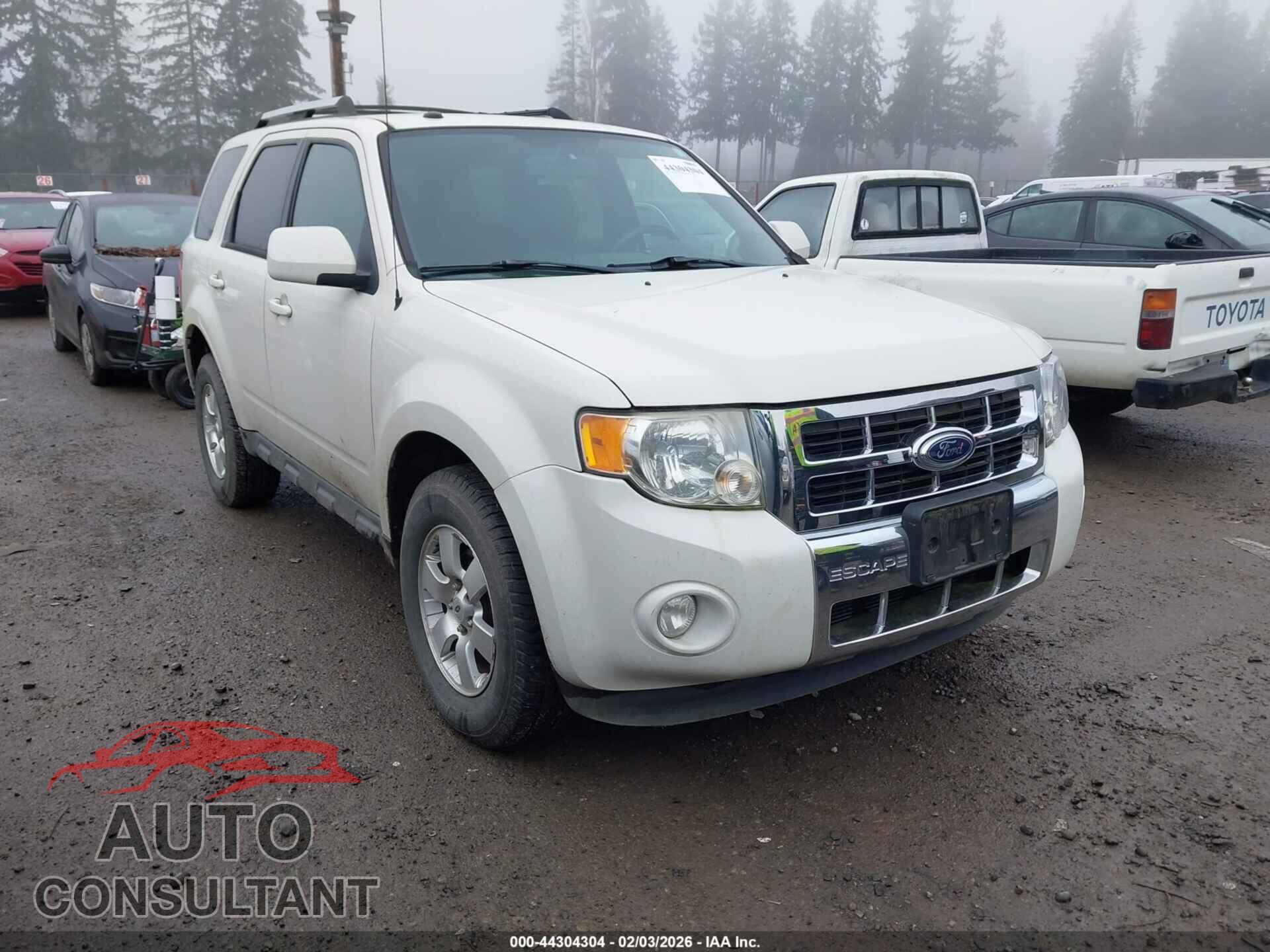 FORD ESCAPE 2010 - 1FMCU9EGXAKD06782