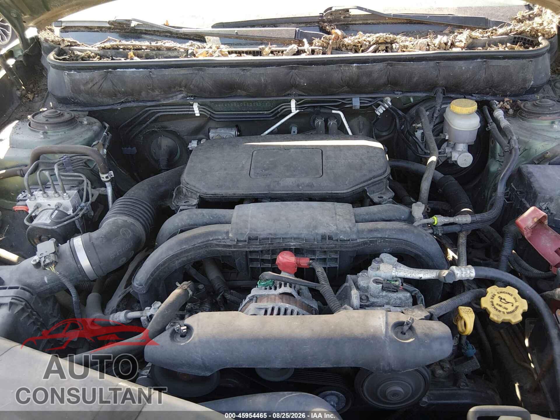 SUBARU OUTBACK 2010 - 4S4BRBDC8A3382787