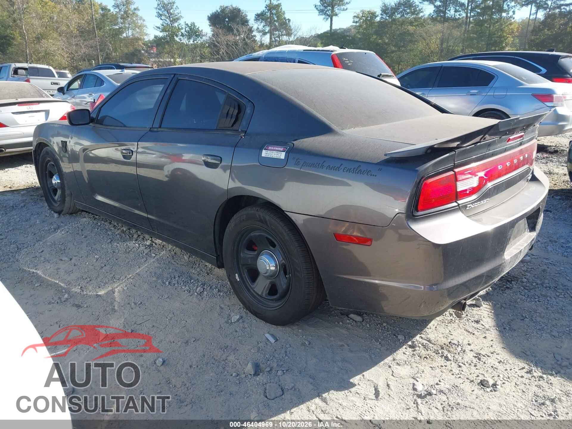 DODGE CHARGER 2014 - 2C3CDXBG5EH339218