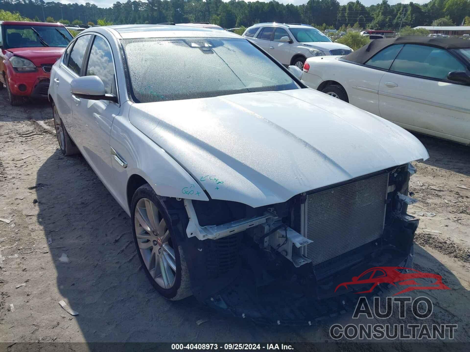 JAGUAR XF 2016 - SAJBE4BV1GCY14503