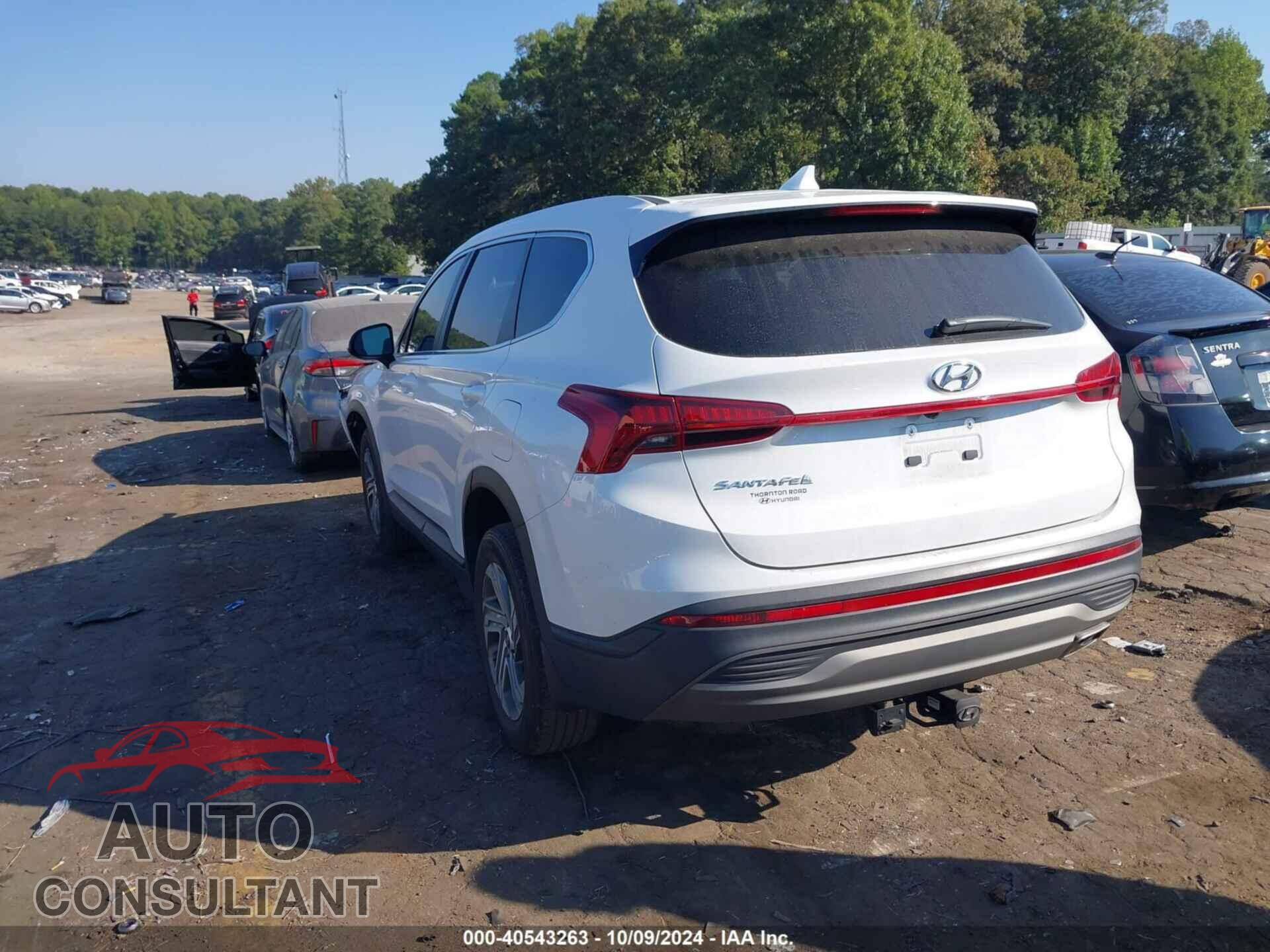 HYUNDAI SANTA FE 2023 - 5NMS14AJ6PH496825