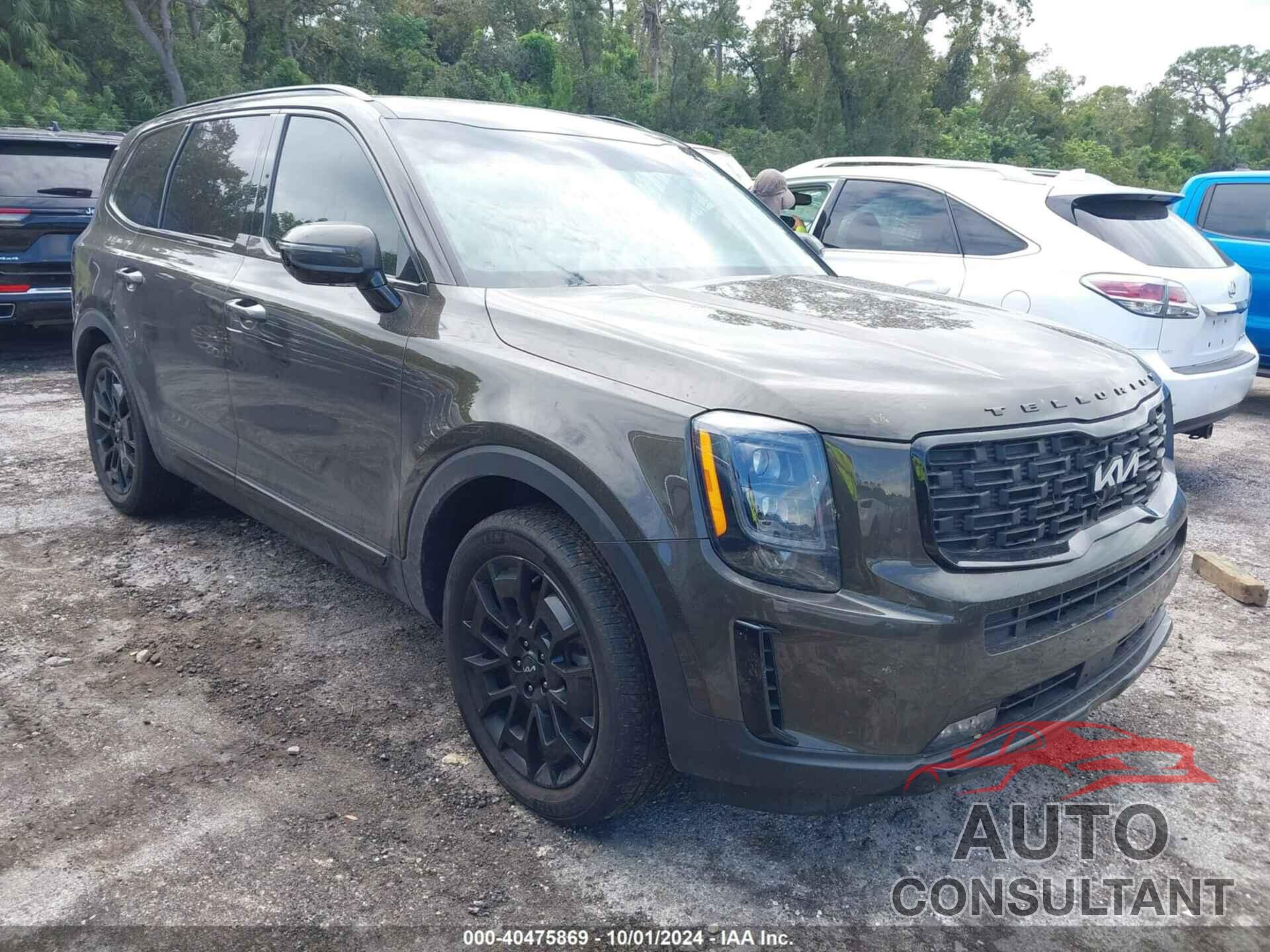 KIA TELLURIDE 2022 - 5XYP5DHC7NG296819