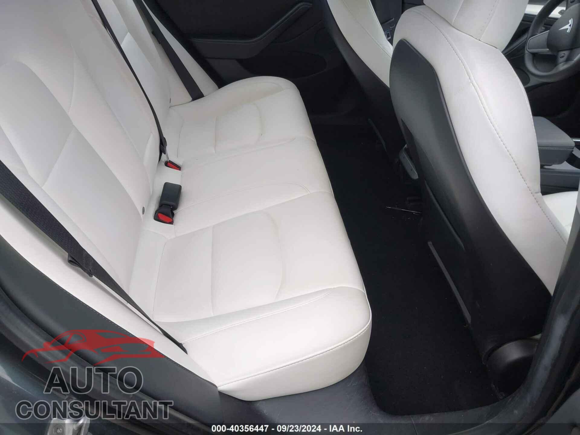 TESLA MODEL 3 2021 - 5YJ3E1EA5MF097208