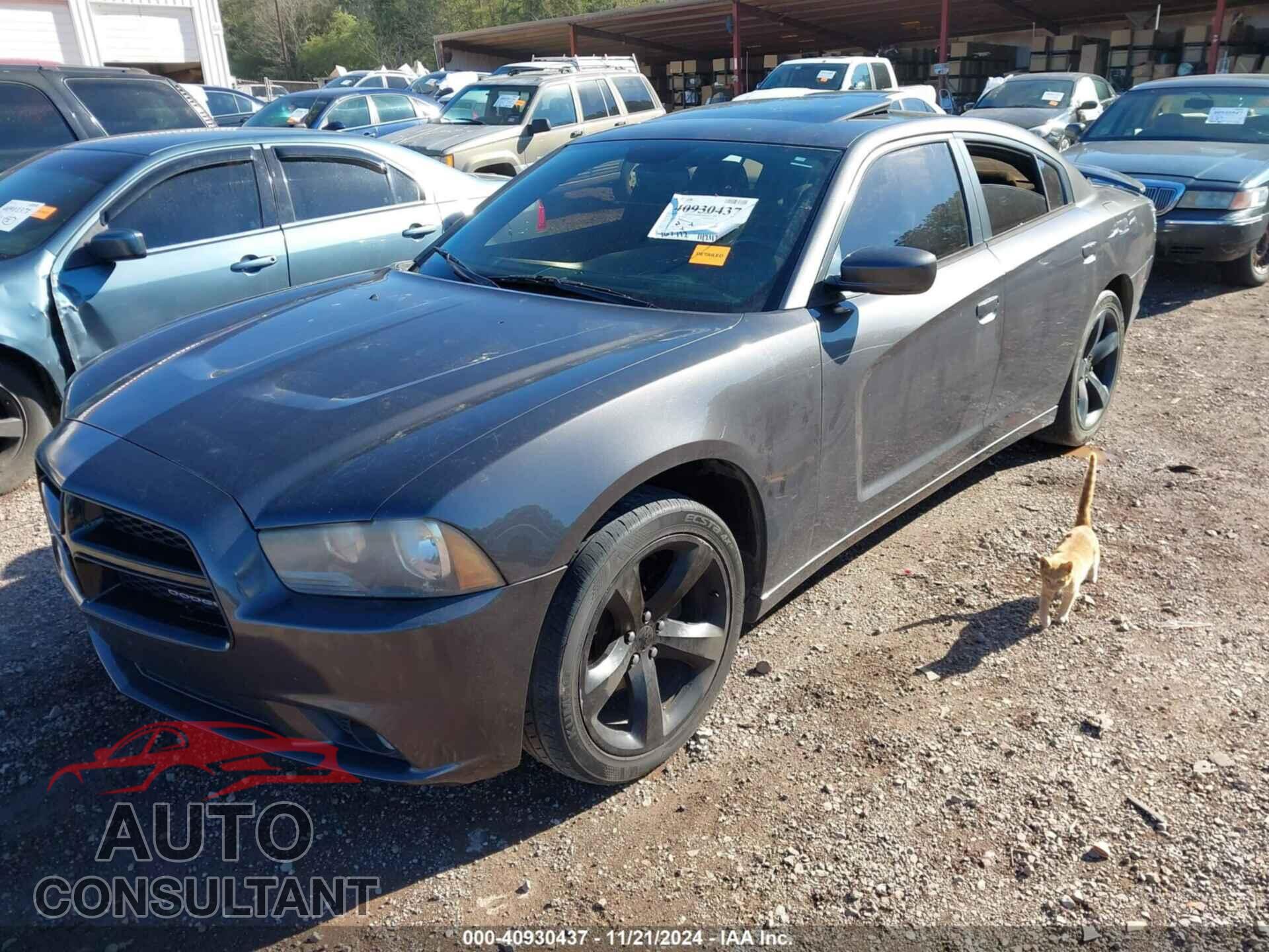 DODGE CHARGER 2014 - 2C3CDXHG7EH134314