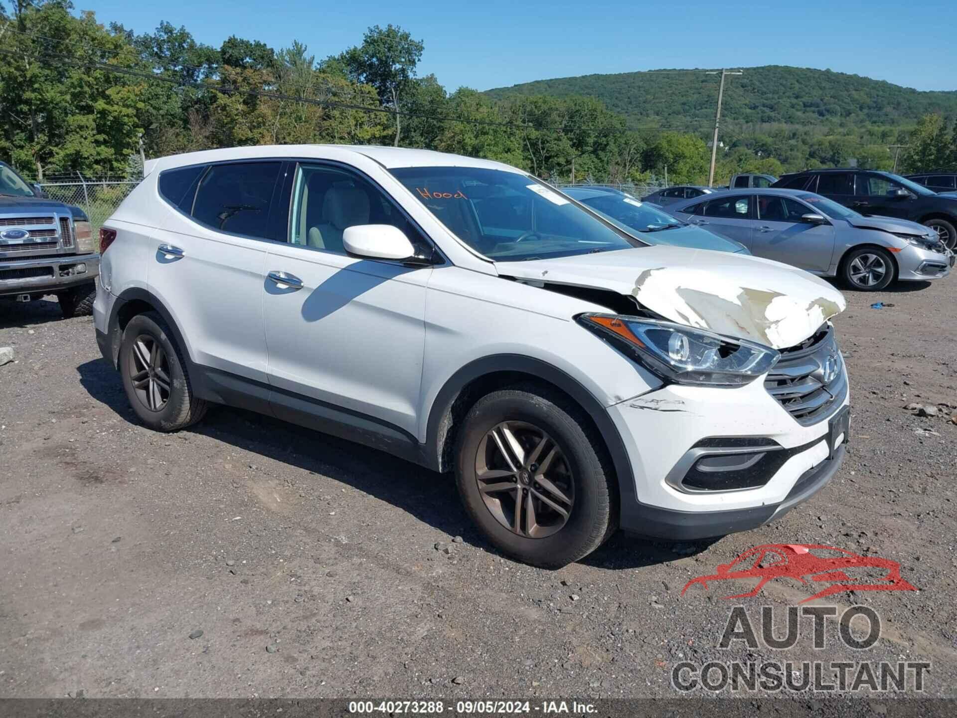 HYUNDAI SANTA FE SPORT 2017 - 5NMZTDLB2HH017137