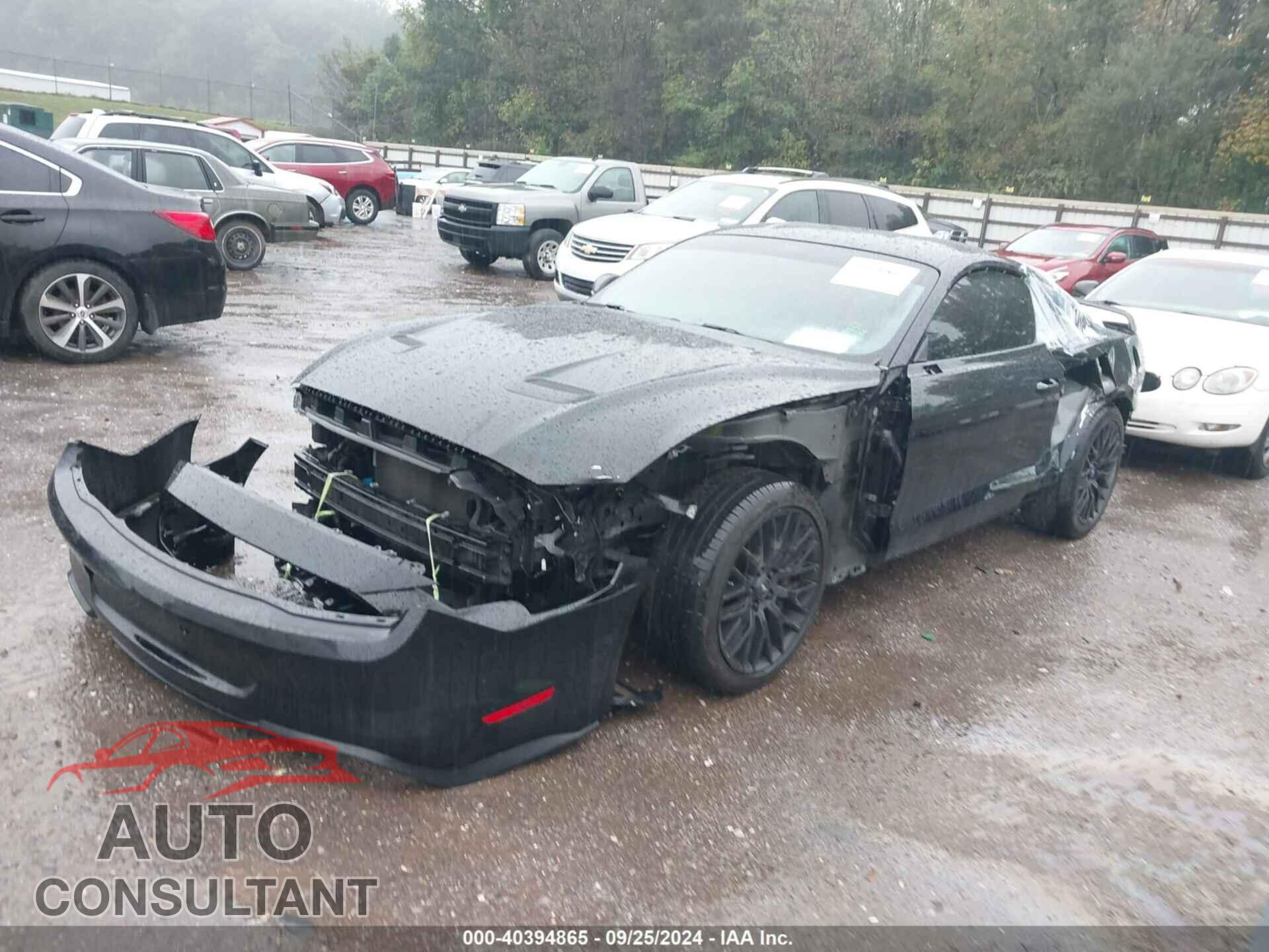 FORD MUSTANG 2019 - 1FA6P8CF4K5102000