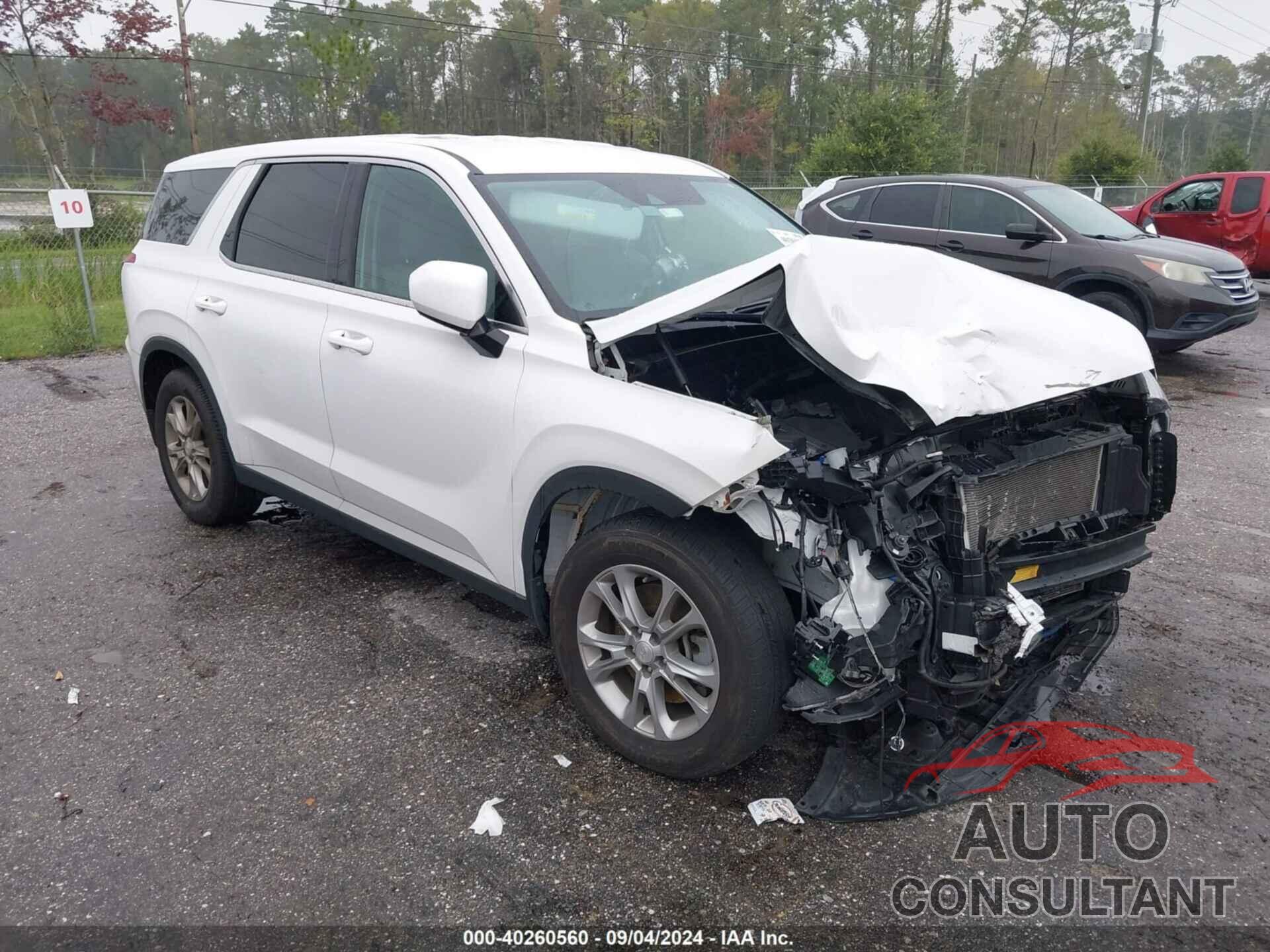 HYUNDAI PALISADE 2020 - KM8R14HE7LU127090