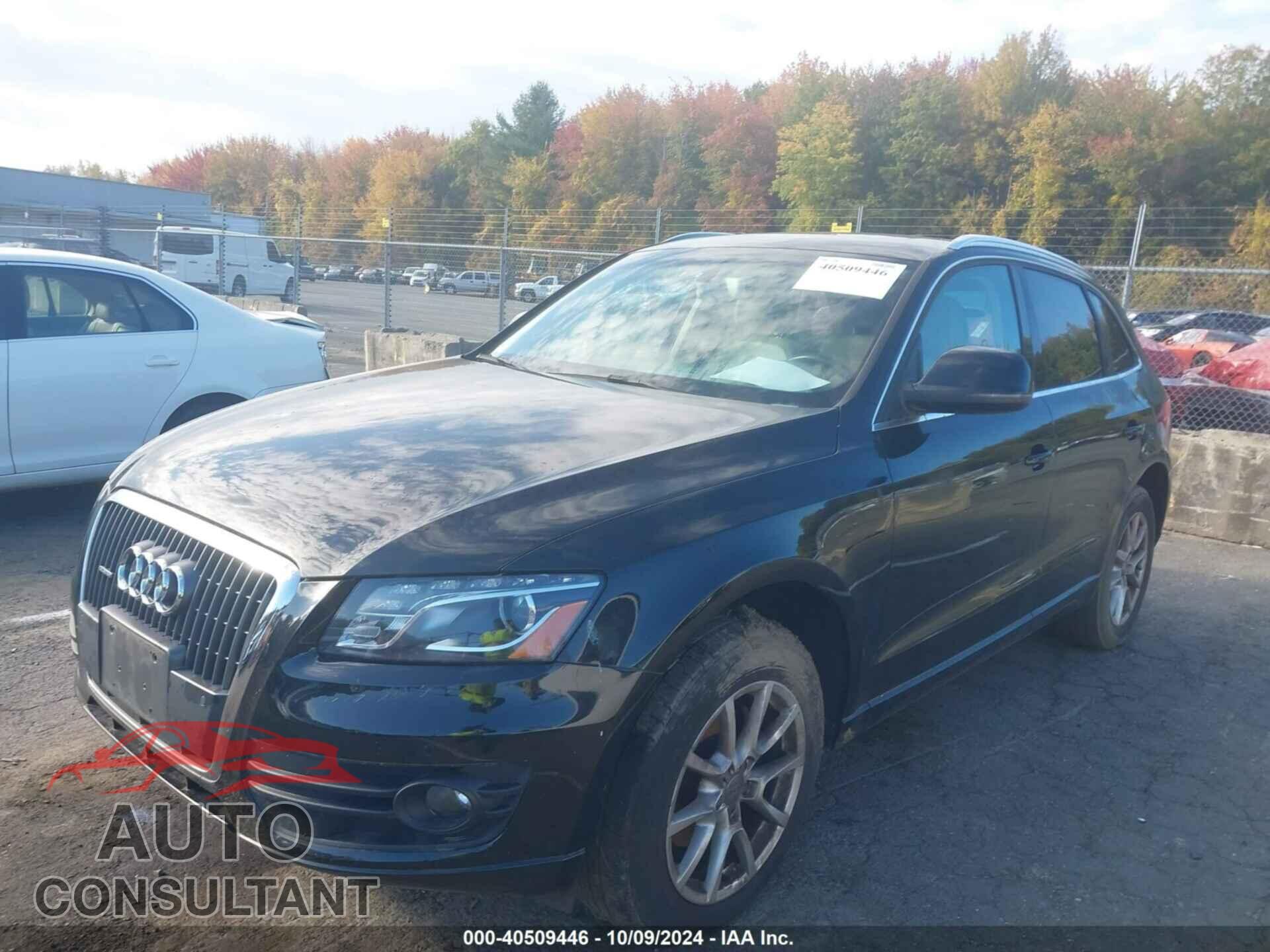 AUDI Q5 2011 - WA1LFAFP0BA042794