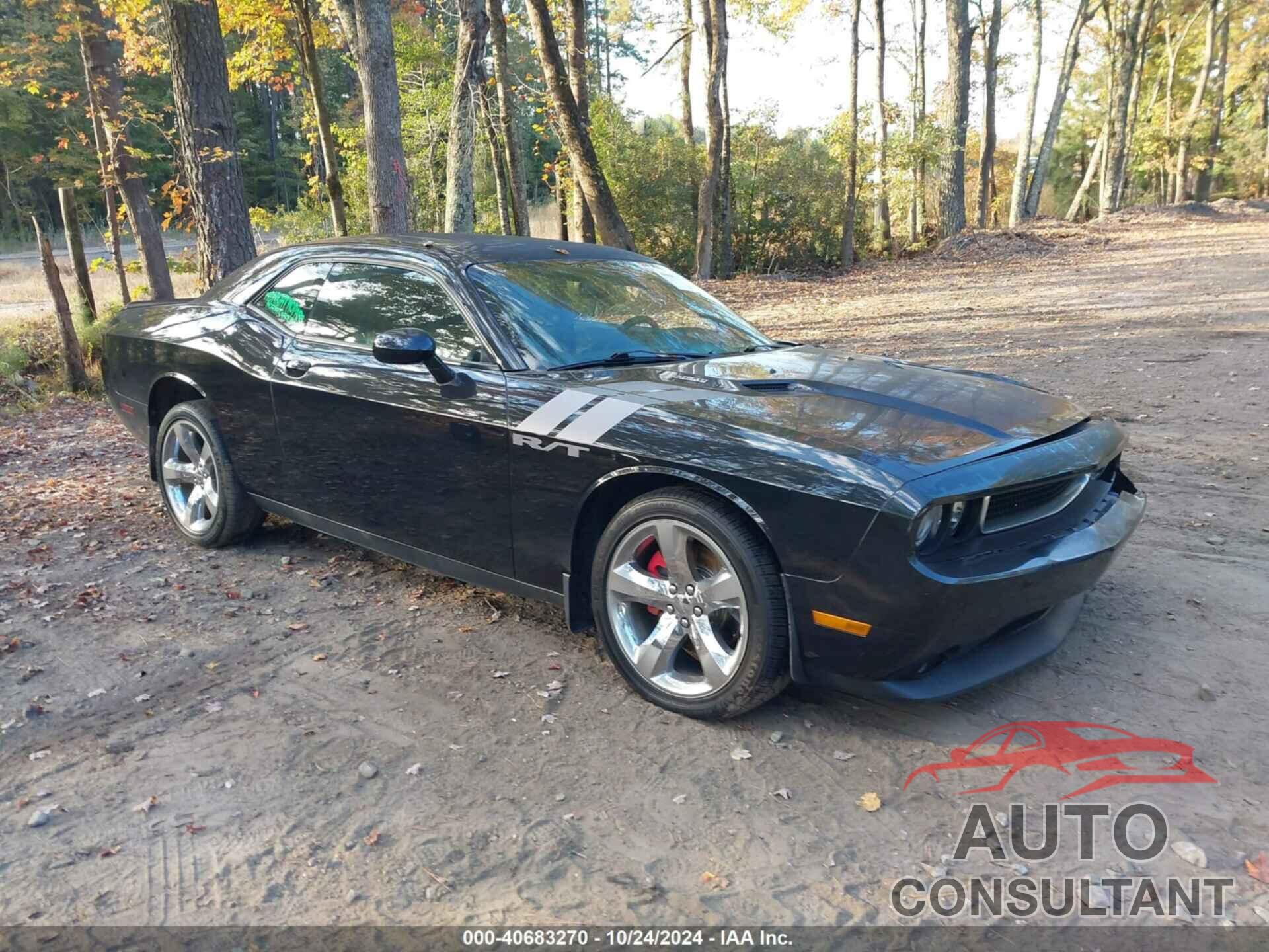 DODGE CHALLENGER 2013 - 2C3CDYBT3DH634559