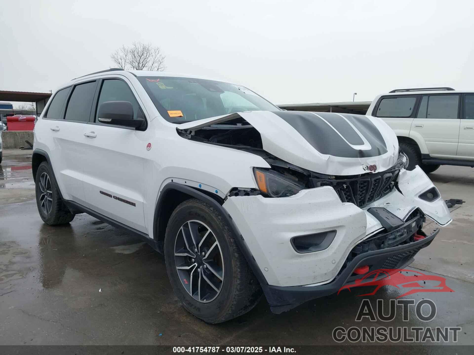 JEEP GRAND CHEROKEE 2019 - 1C4RJFLG0KC837817