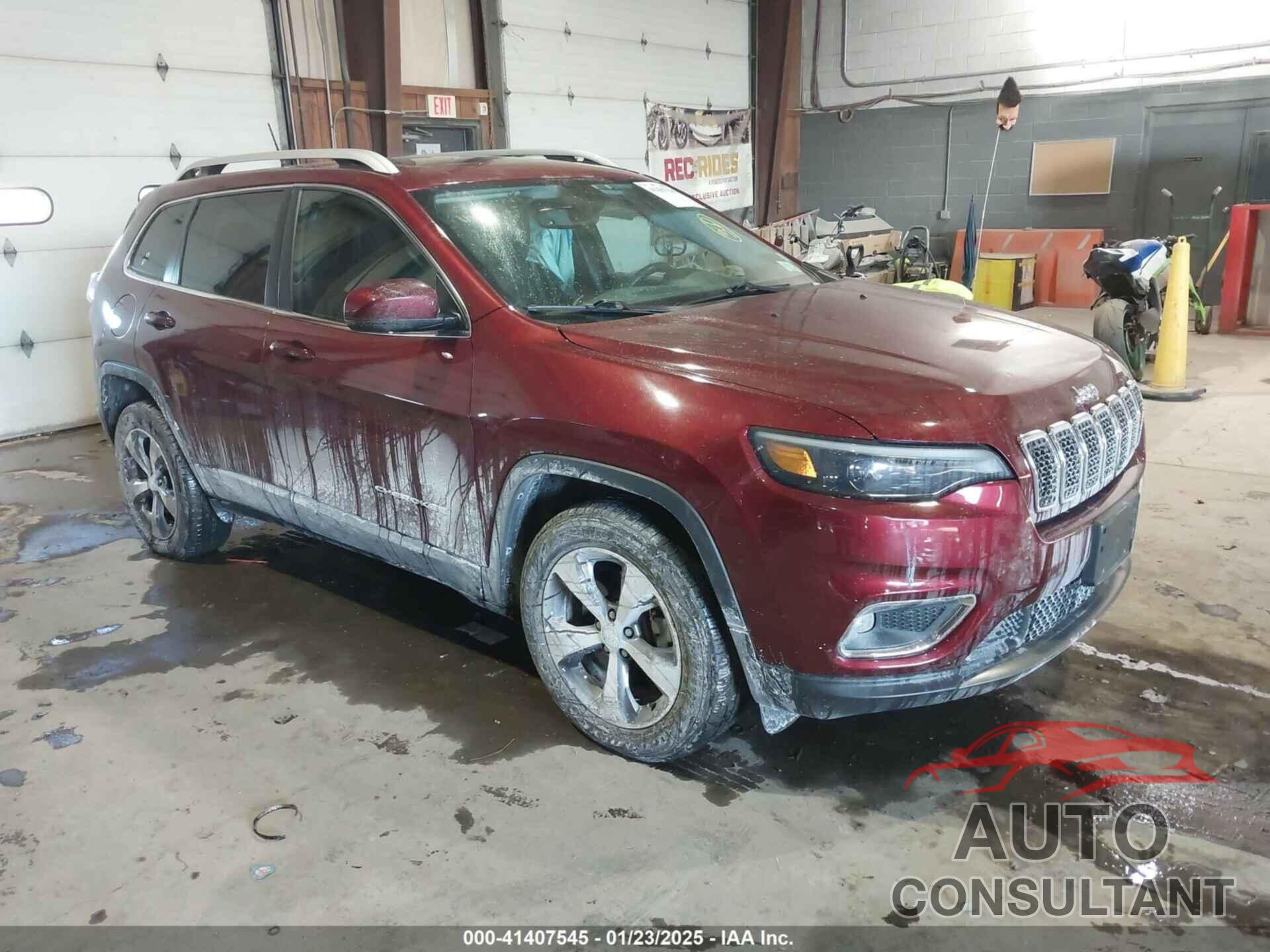 JEEP CHEROKEE 2019 - 1C4PJMDN2KD169621