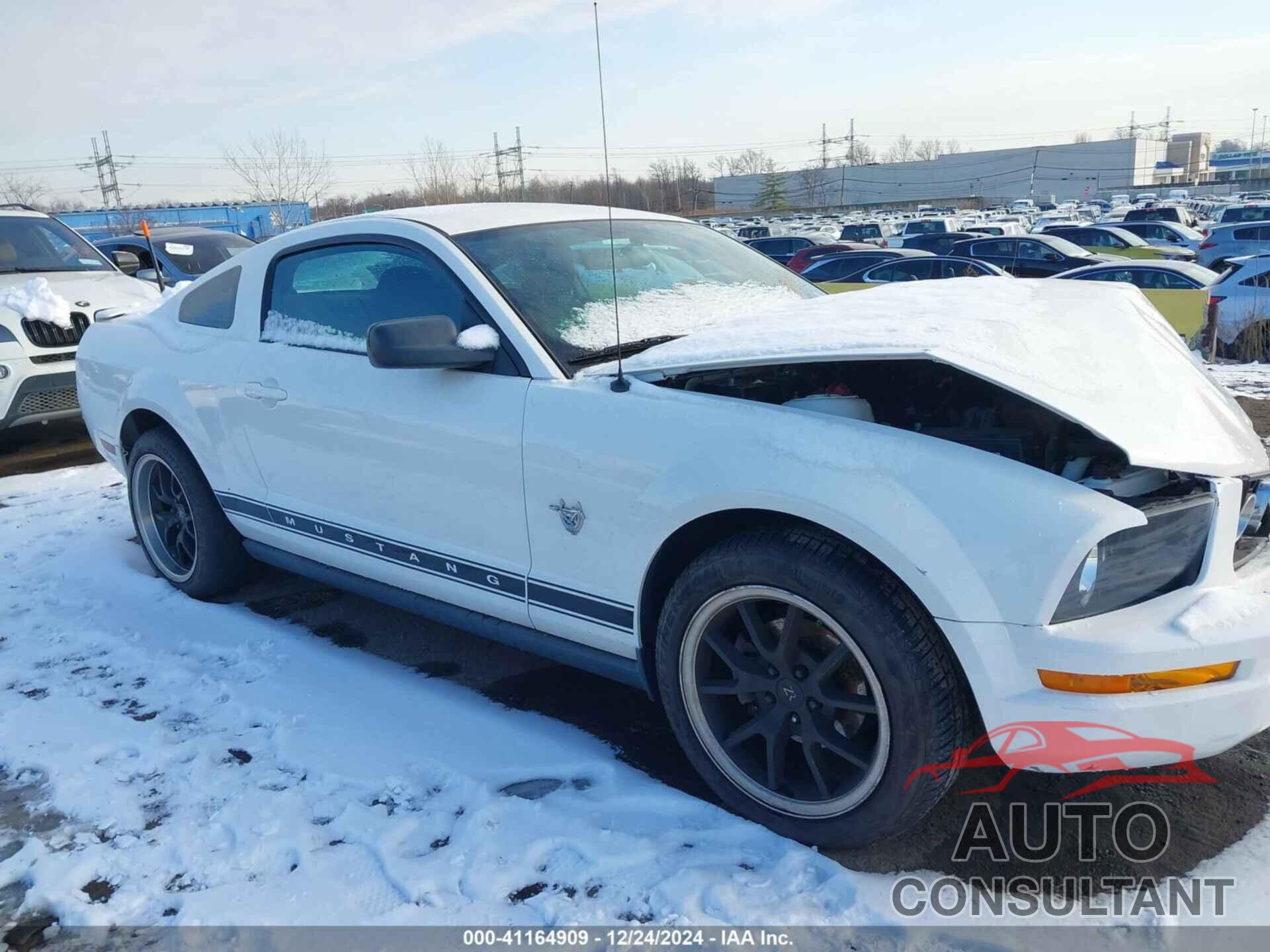 FORD MUSTANG 2009 - 1ZVHT80N895130447