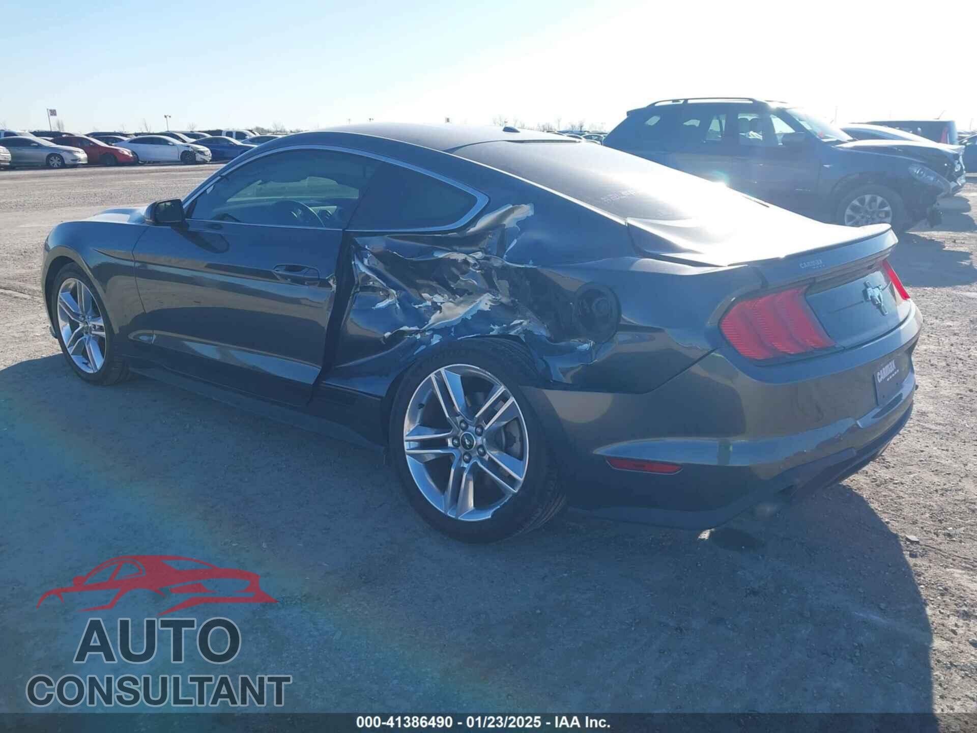 FORD MUSTANG 2019 - 1FA6P8TH7K5154190
