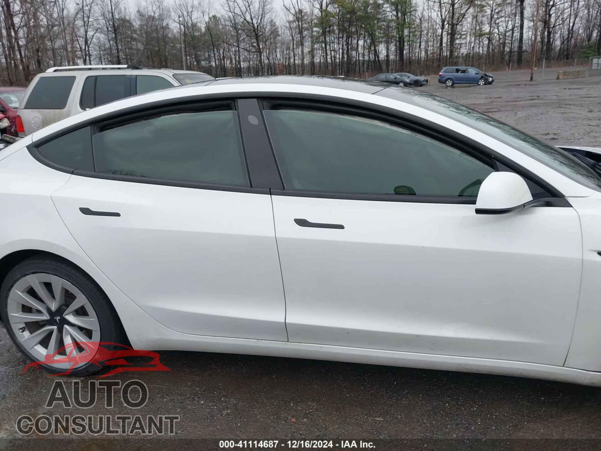 TESLA MODEL 3 2021 - 5YJ3E1EA2MF098591