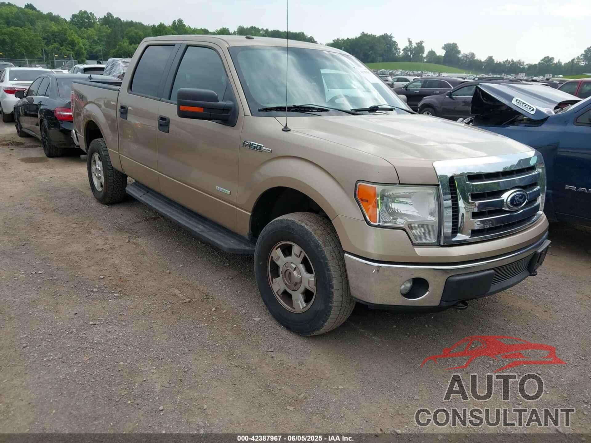 FORD F-150 2012 - 1FTFW1ETXCKD45854