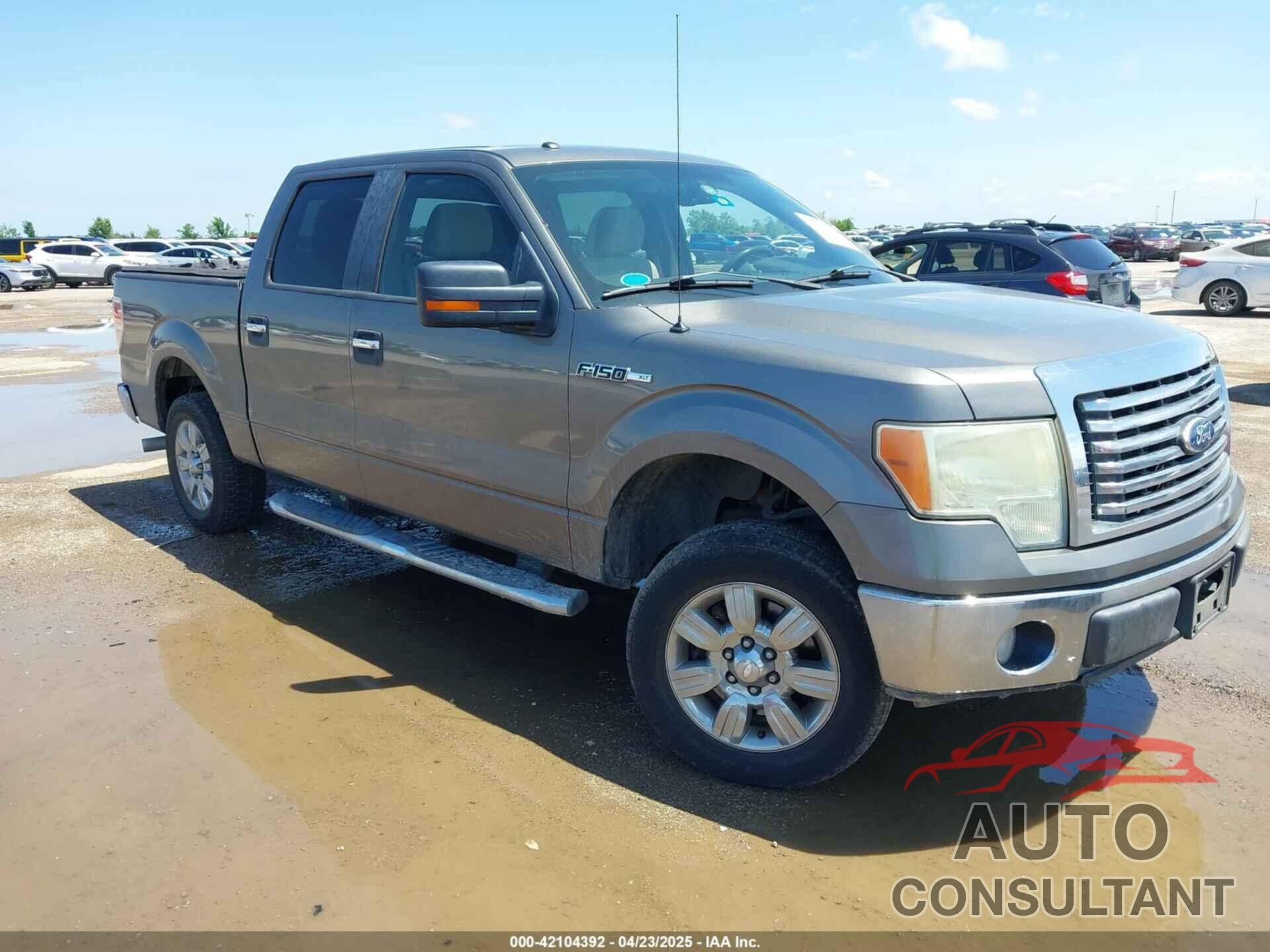 FORD F-150 2010 - 1FTEW1C82AFC56425