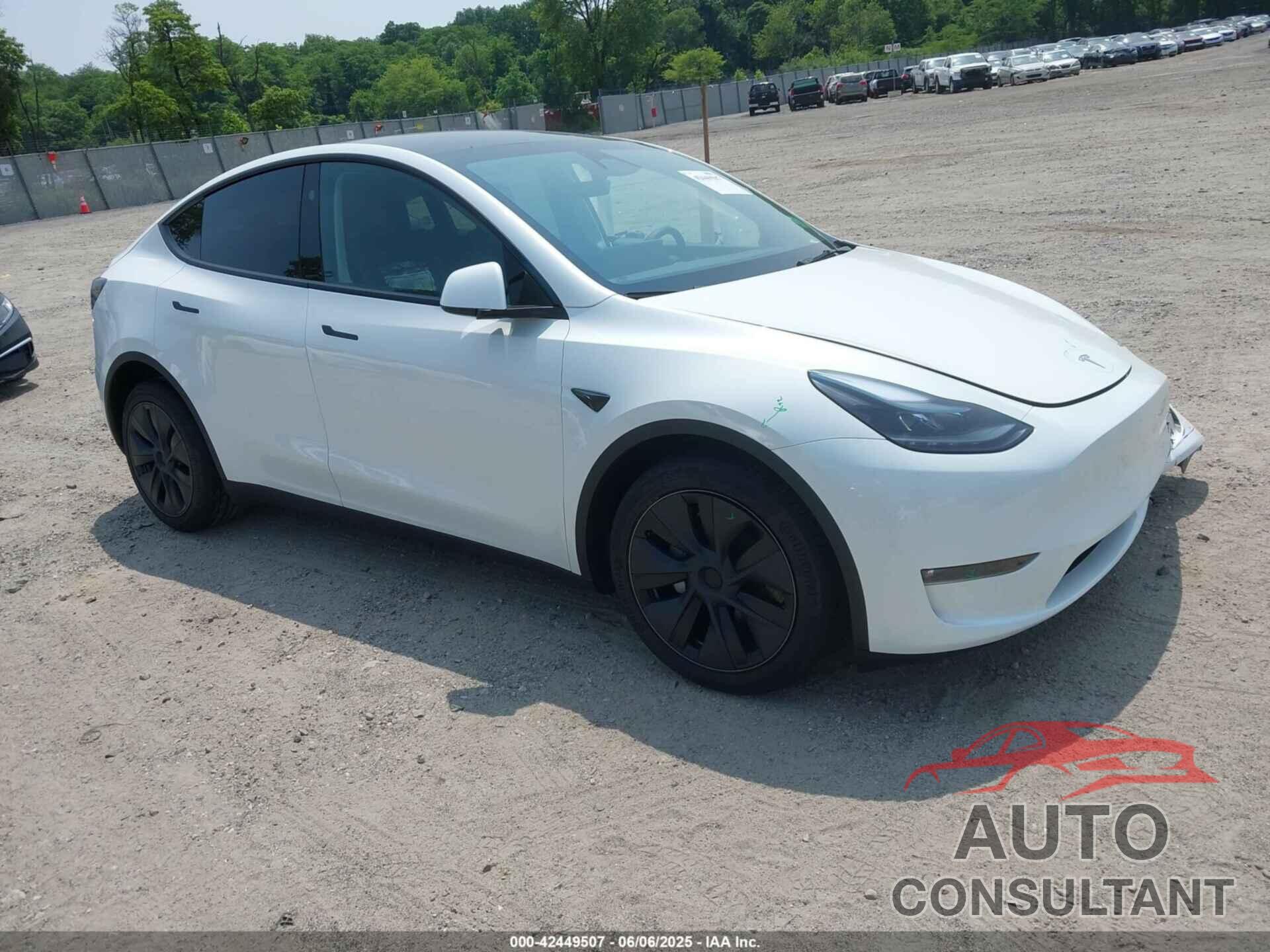 TESLA MODEL Y 2024 - 7SAYGDEE1RF185655