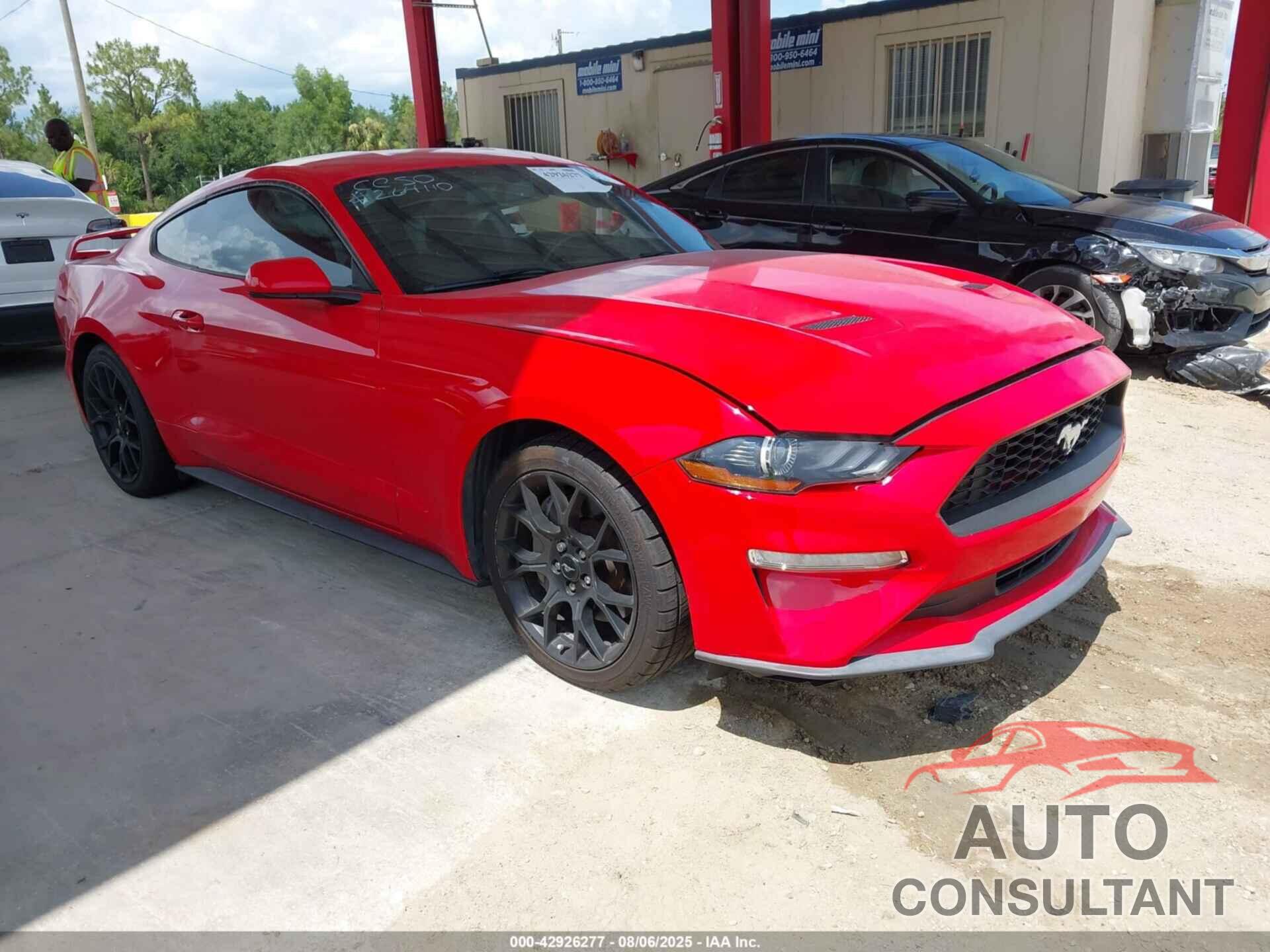 FORD MUSTANG 2019 - 1FA6P8TH1K5160910