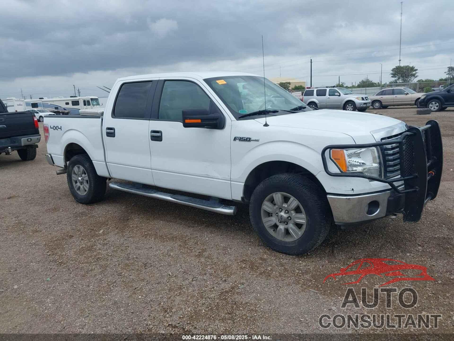 FORD F-150 2010 - 1FTEW1E81AFD42774