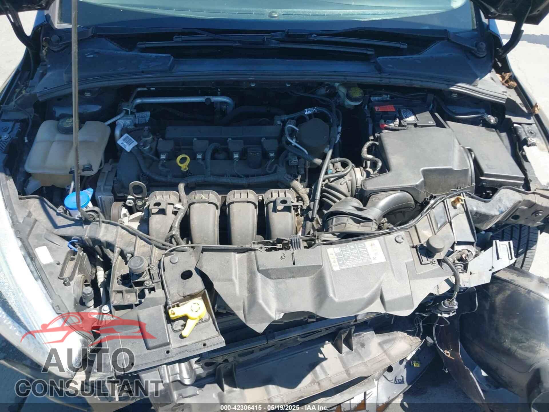 FORD FOCUS 2016 - 1FADP3E26GL293913