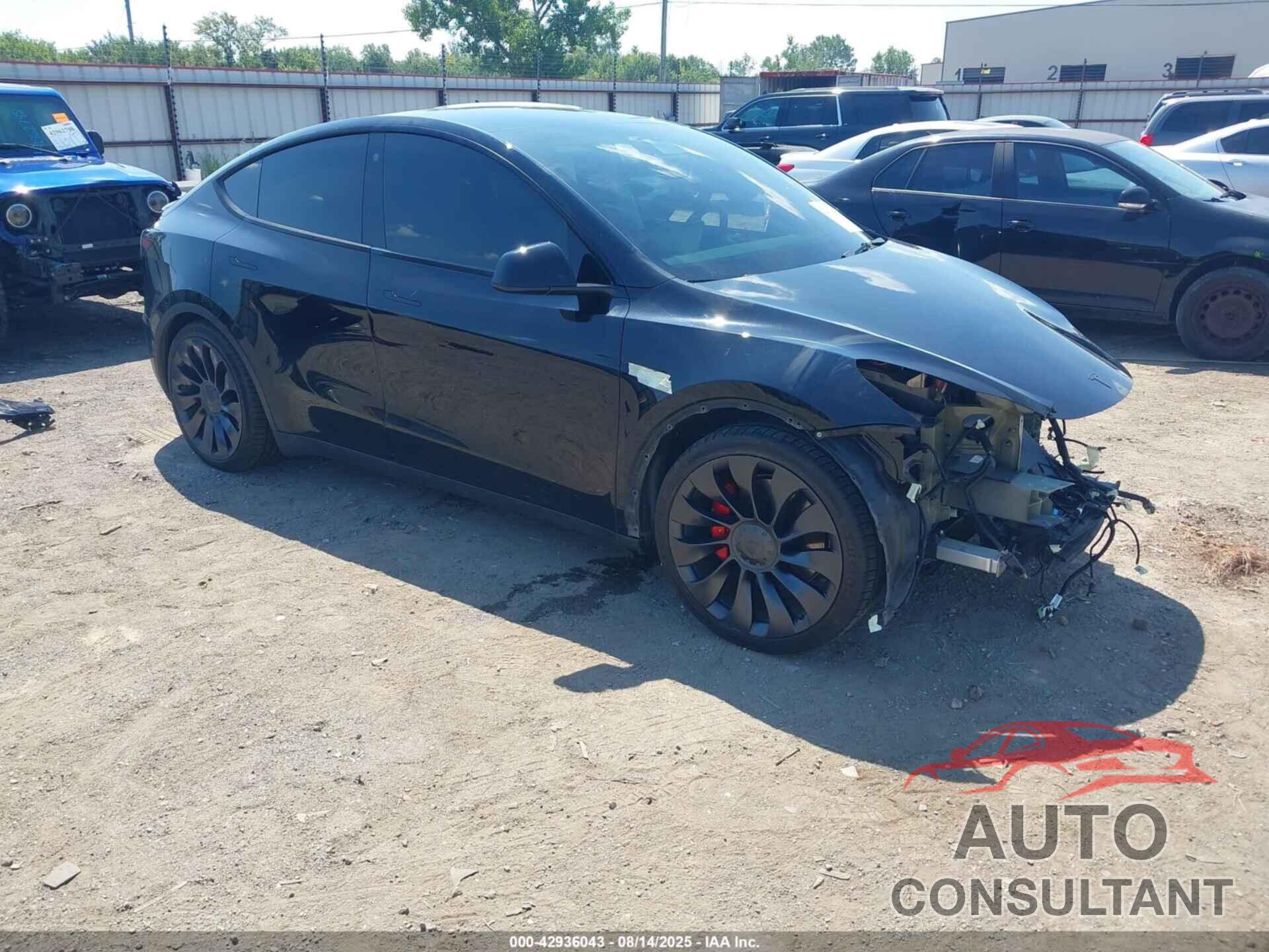 TESLA MODEL Y 2022 - 7SAYGDEF1NF340613