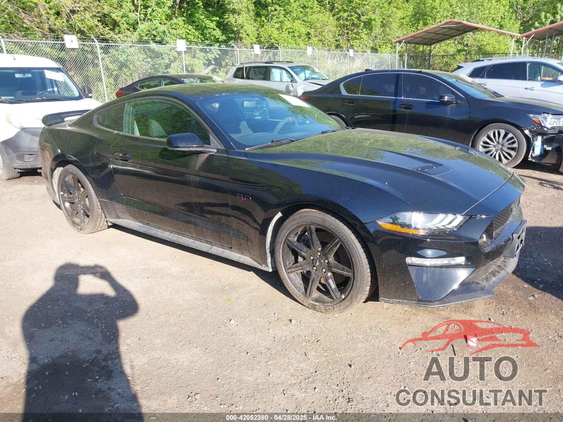 FORD MUSTANG 2019 - 1FA6P8CF2K5108720