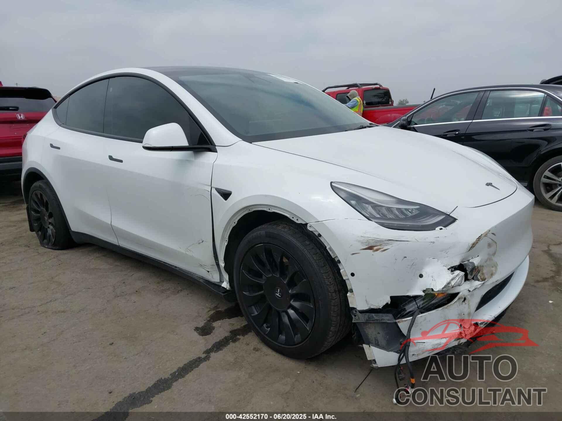 TESLA MODEL Y 2021 - 5YJYGDEE1MF146540