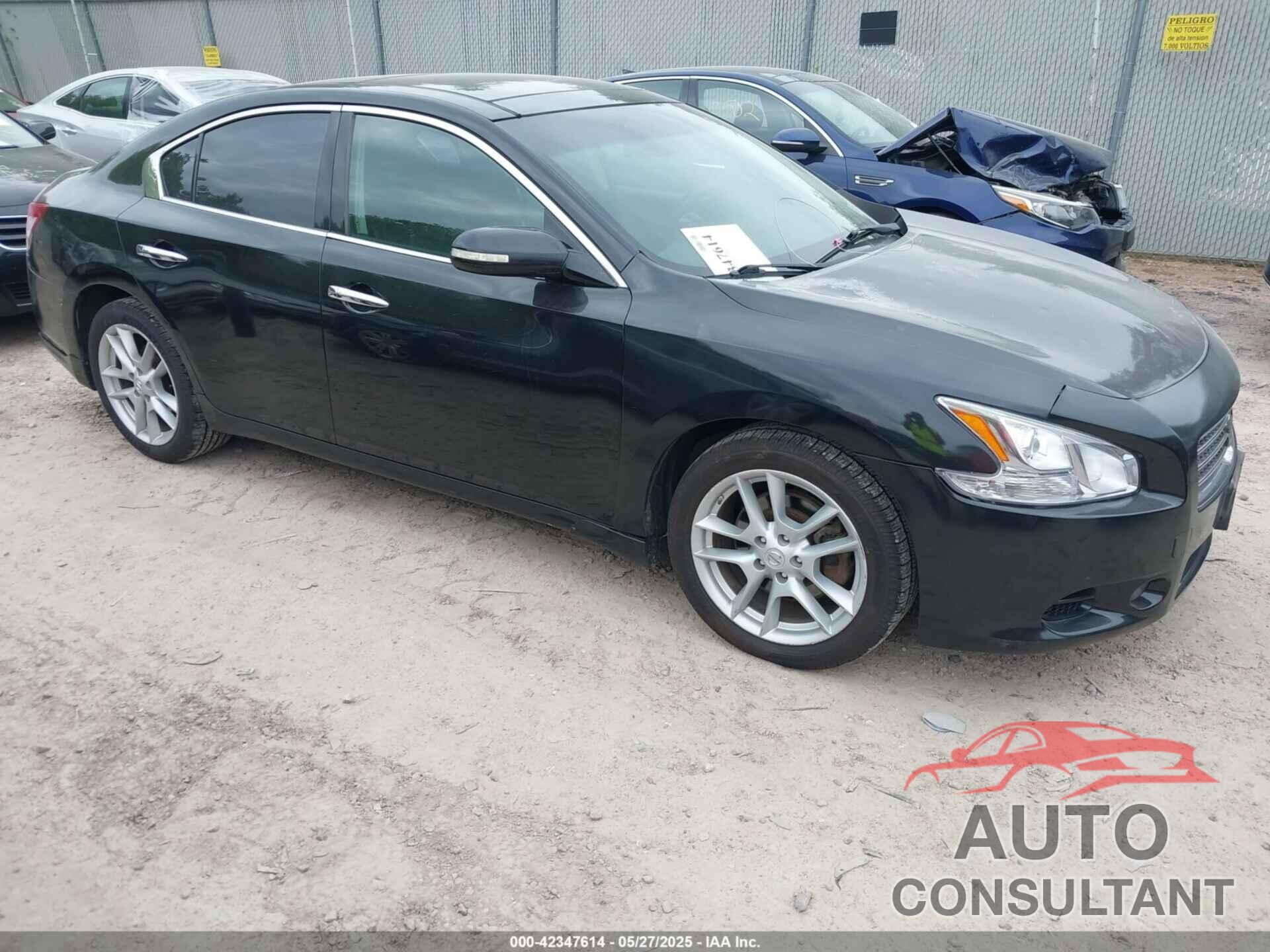 NISSAN MAXIMA 2010 - 1N4AA5AP8AC834226