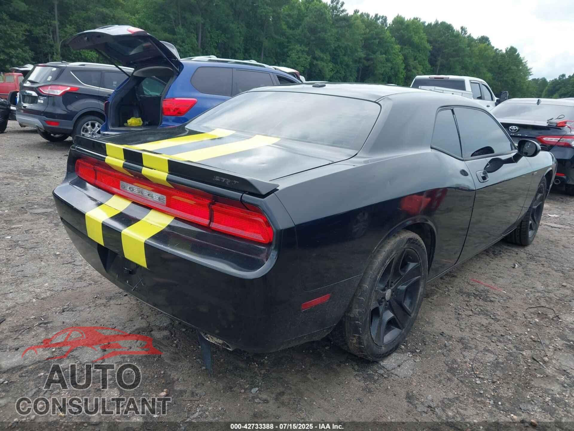 DODGE CHALLENGER 2010 - 2B3CJ5DT2AH110655
