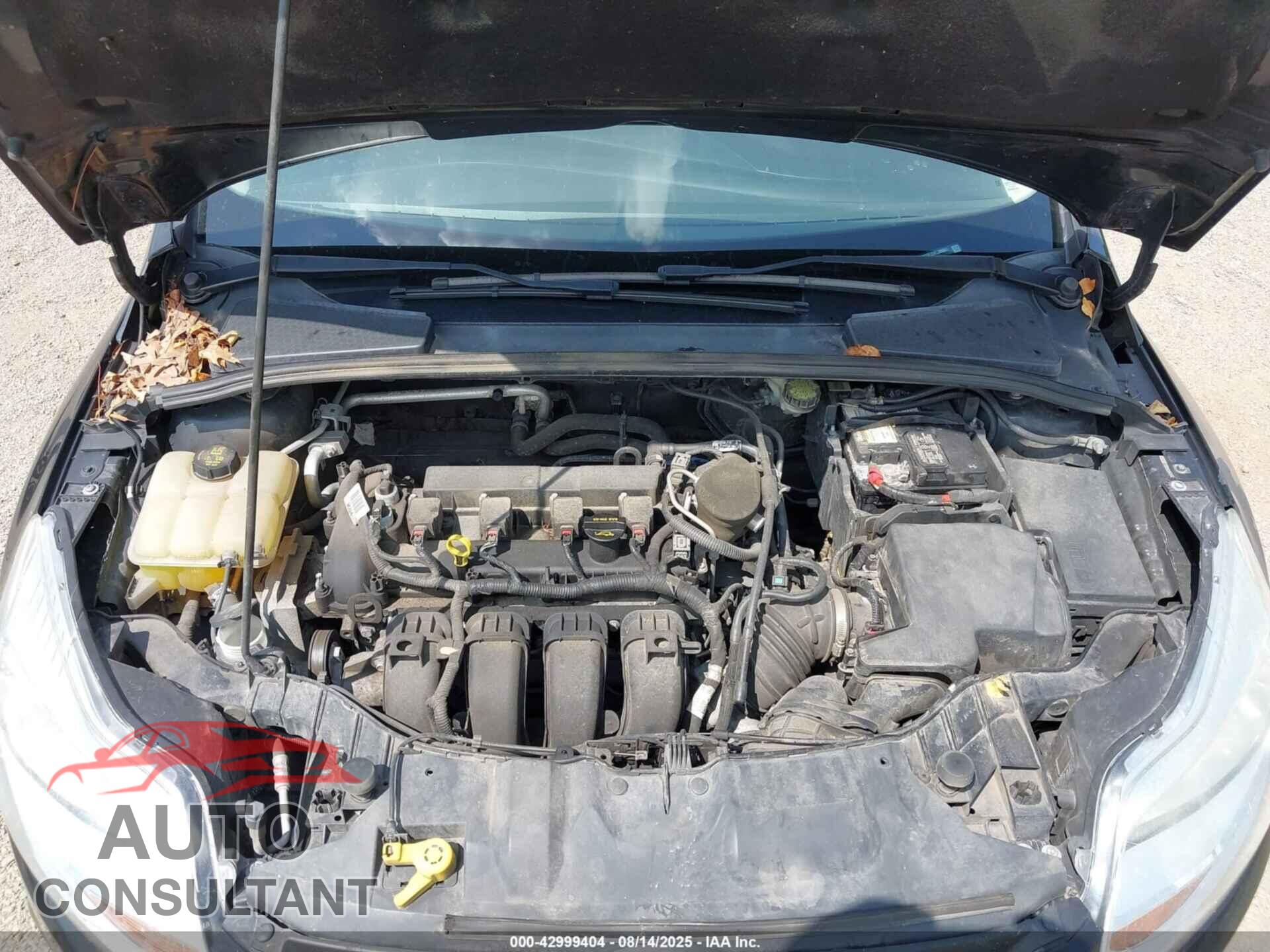 FORD FOCUS 2014 - 1FADP3F22EL380851