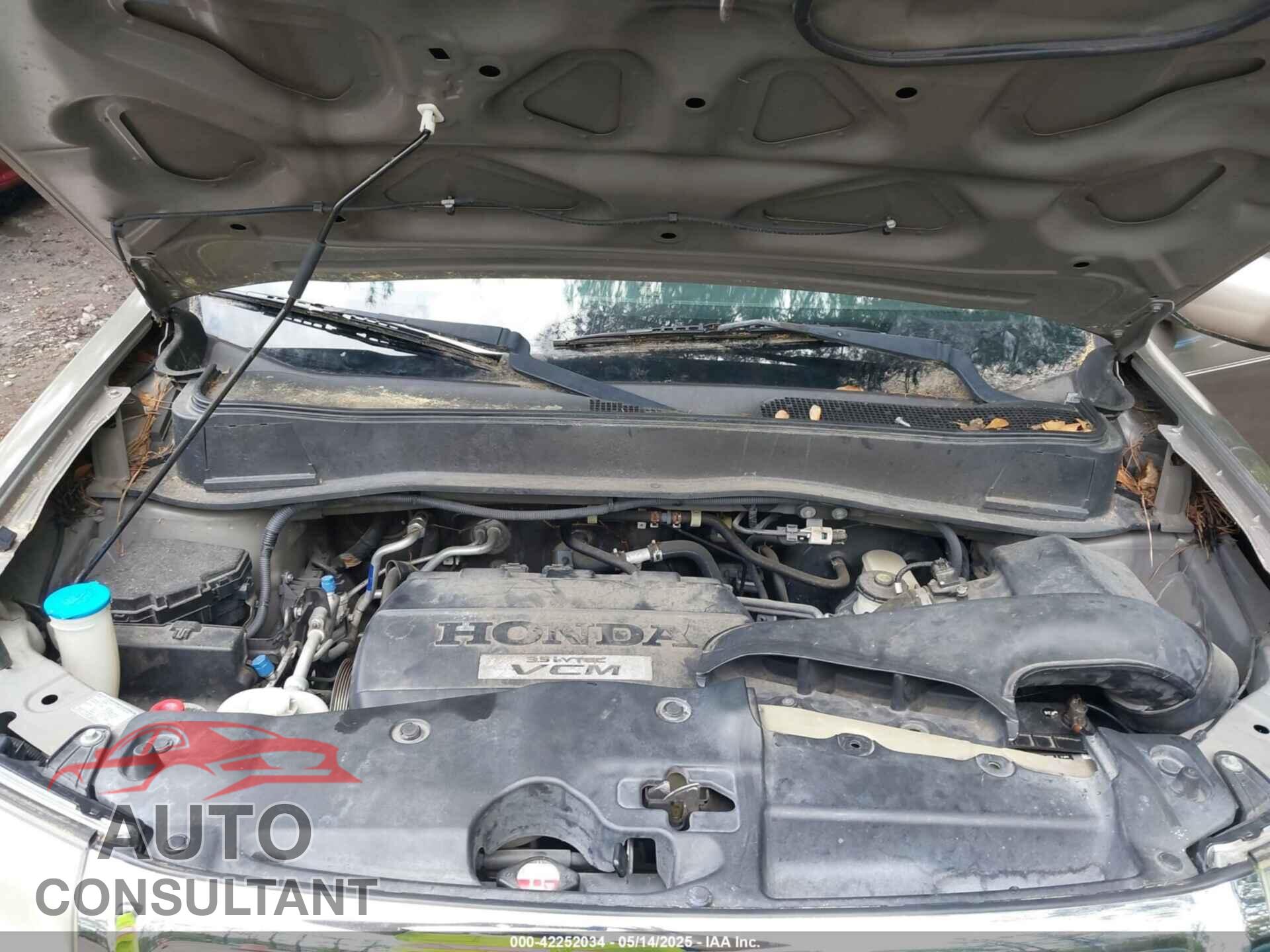HONDA PILOT 2009 - 5FNYF48409B041002