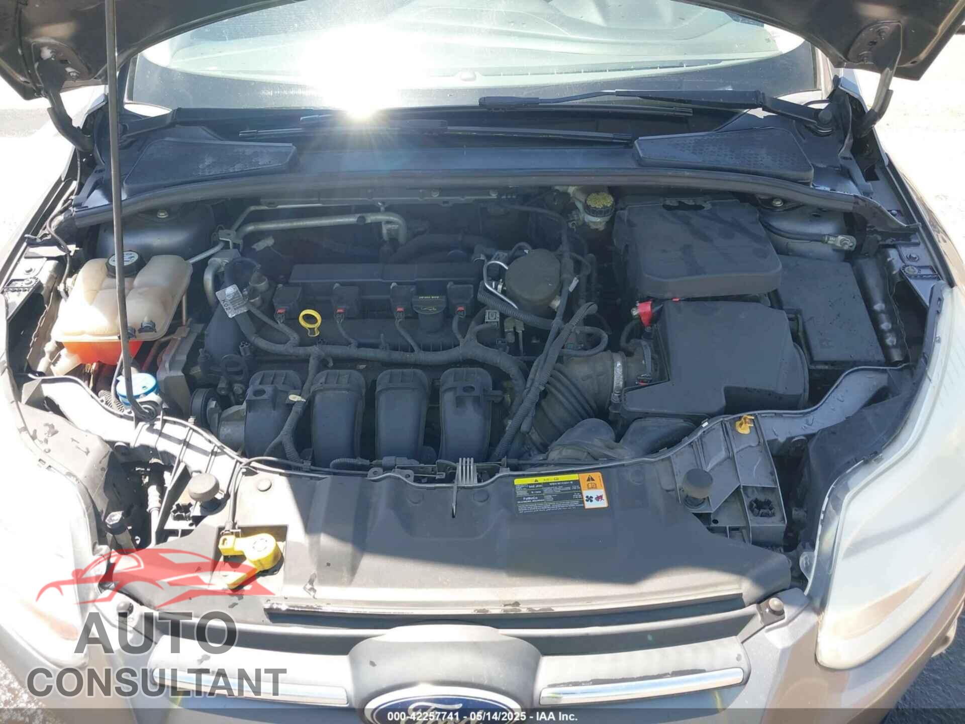 FORD FOCUS 2013 - 1FADP3K29DL190825