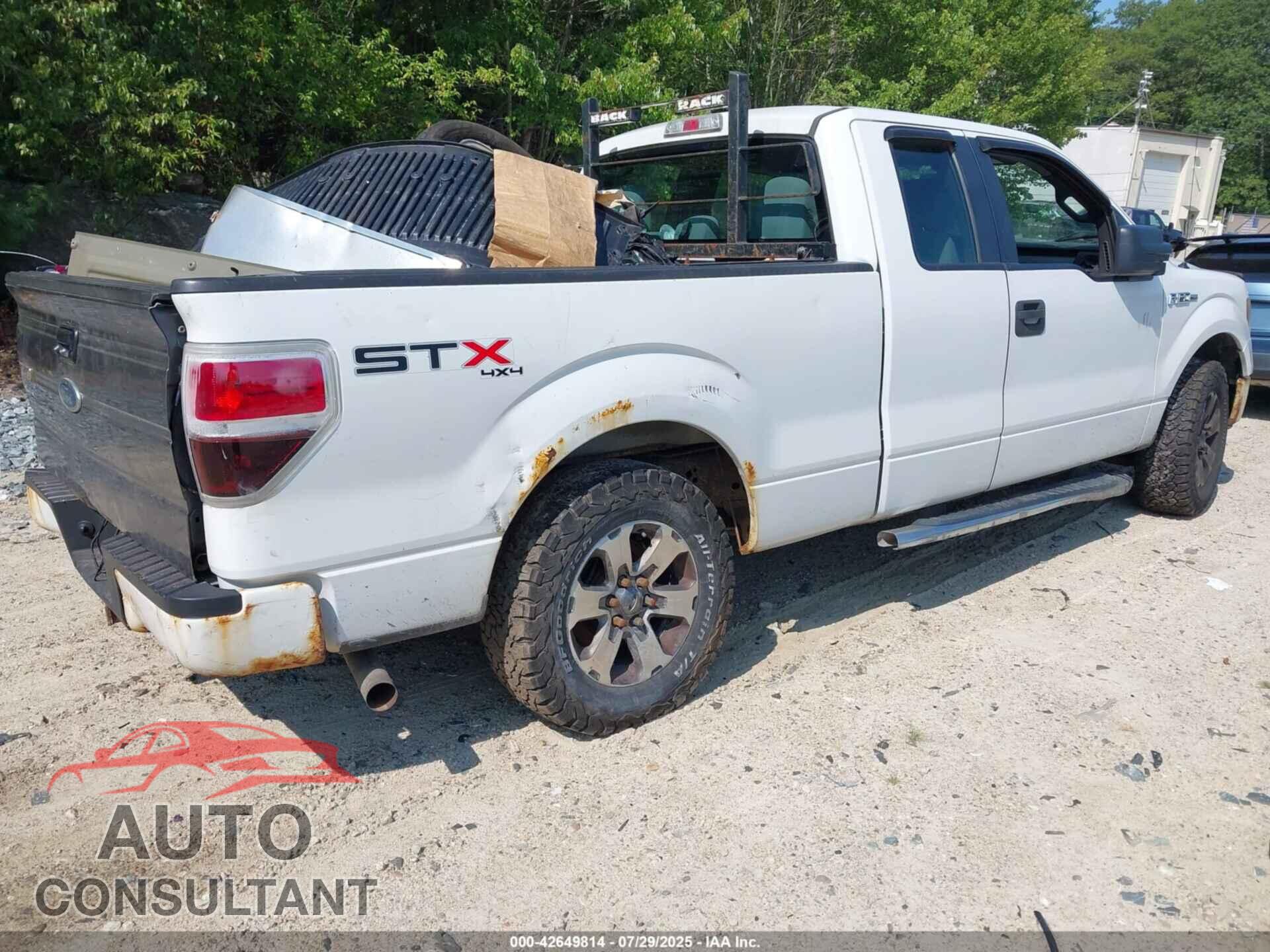 FORD F-150 2013 - 1FTFX1EF8DFD54036