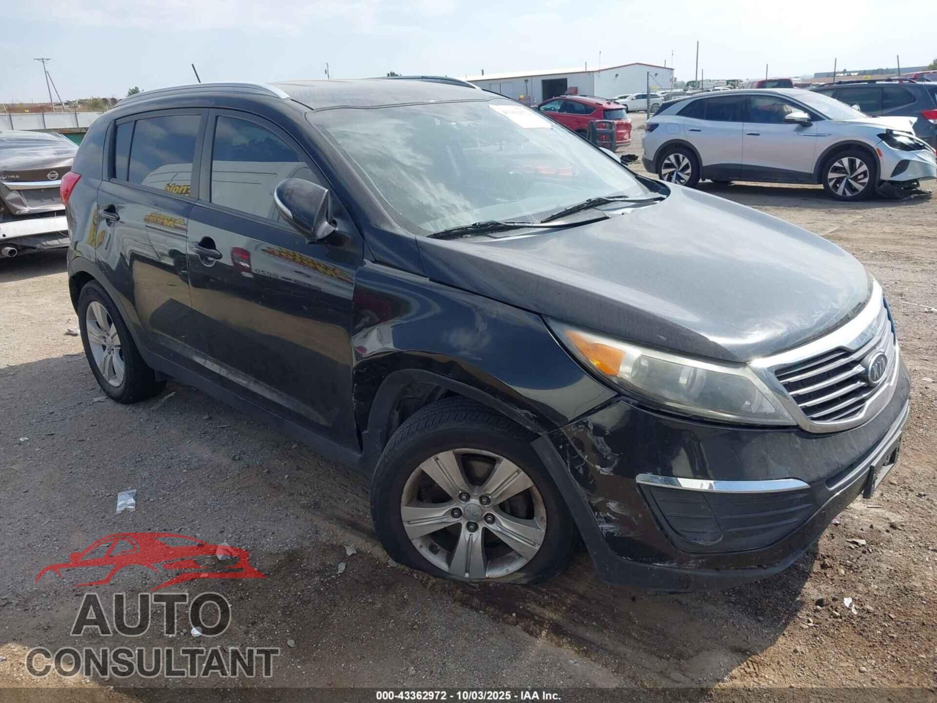 KIA SPORTAGE 2011 - KNDPBCA20B7166345
