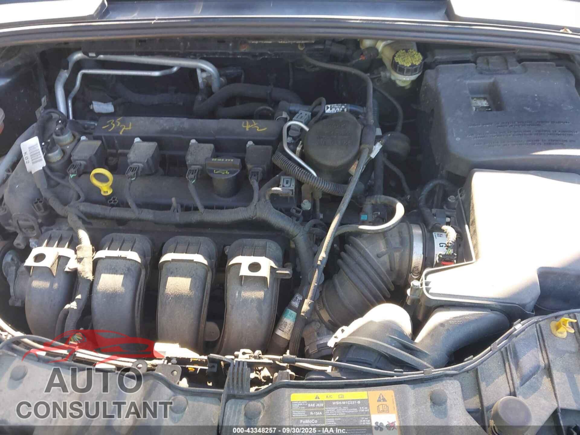 FORD FOCUS 2012 - 1FAHP3F23CL146779