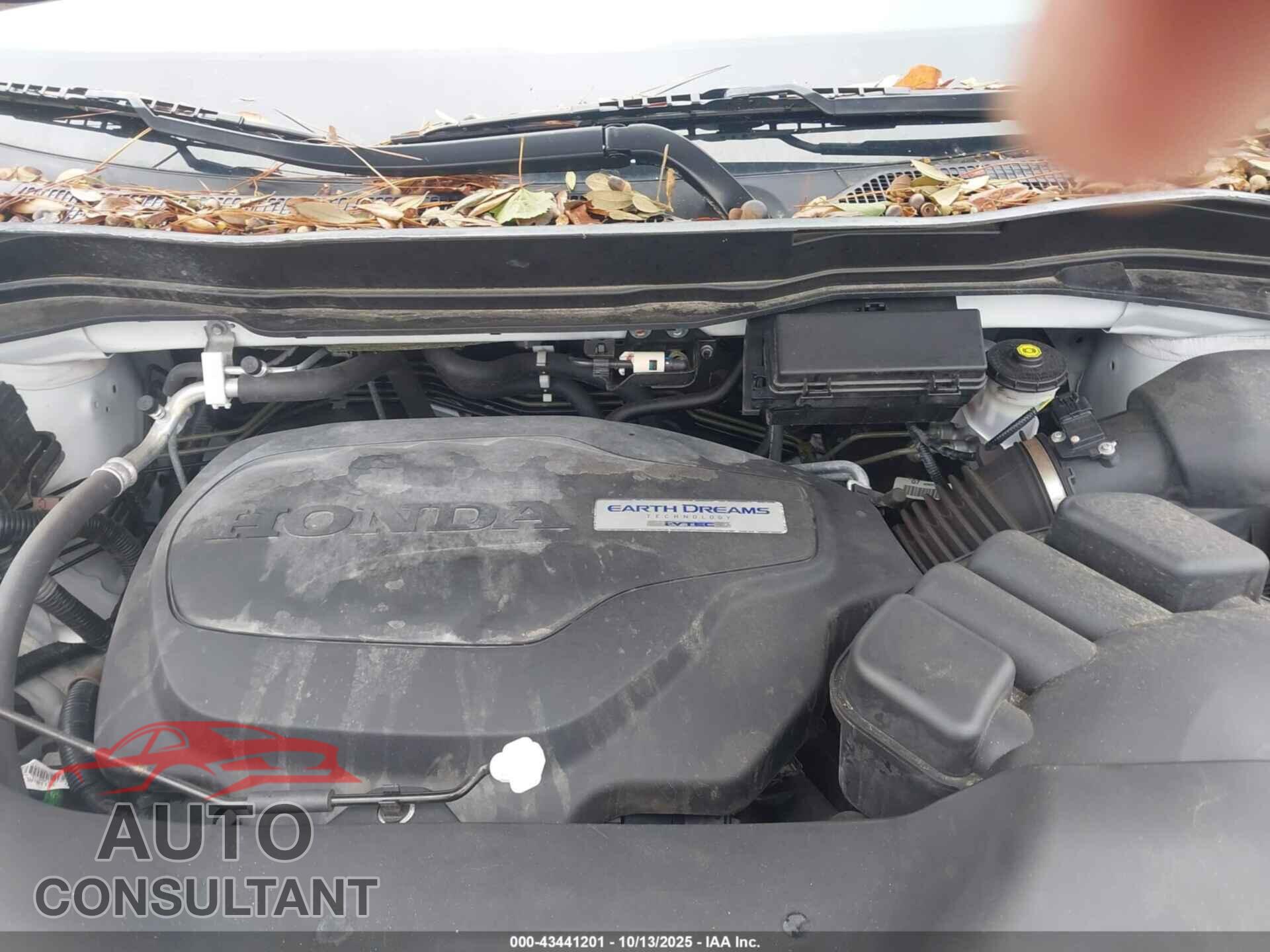 HONDA RIDGELINE 2019 - 5FPYK3F55KB043584