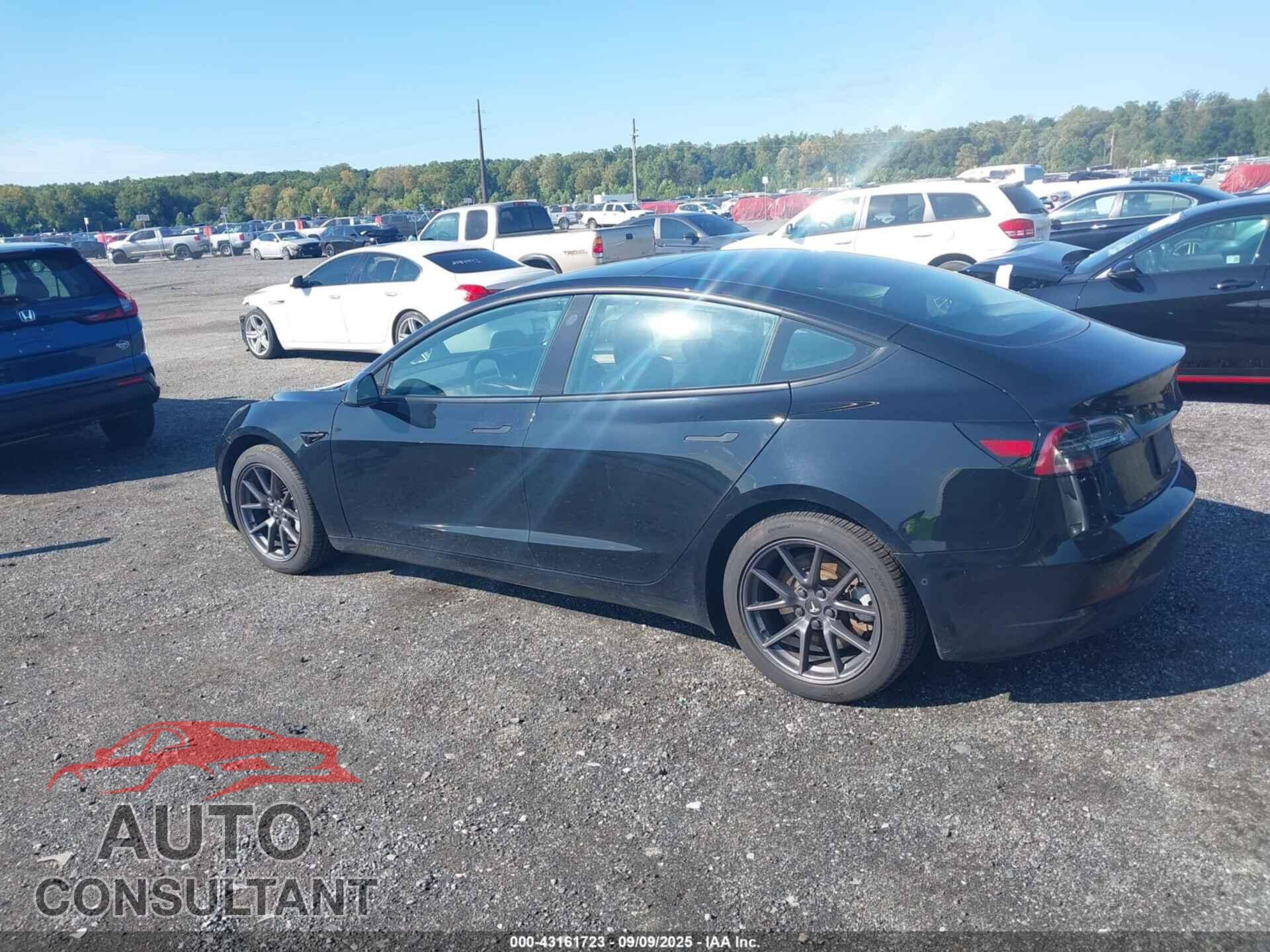 TESLA MODEL 3 2021 - 5YJ3E1EBXMF055867