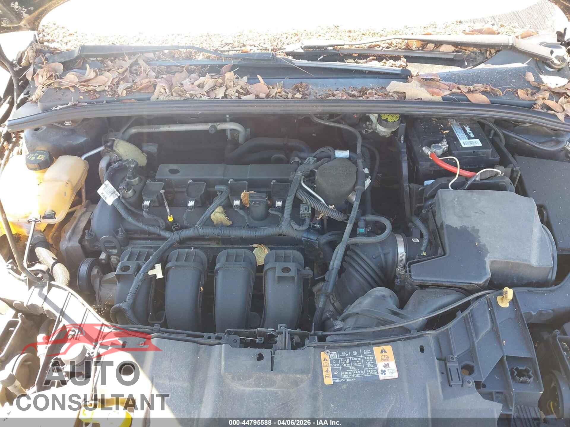 FORD FOCUS 2016 - 1FADP3F2XGL285697