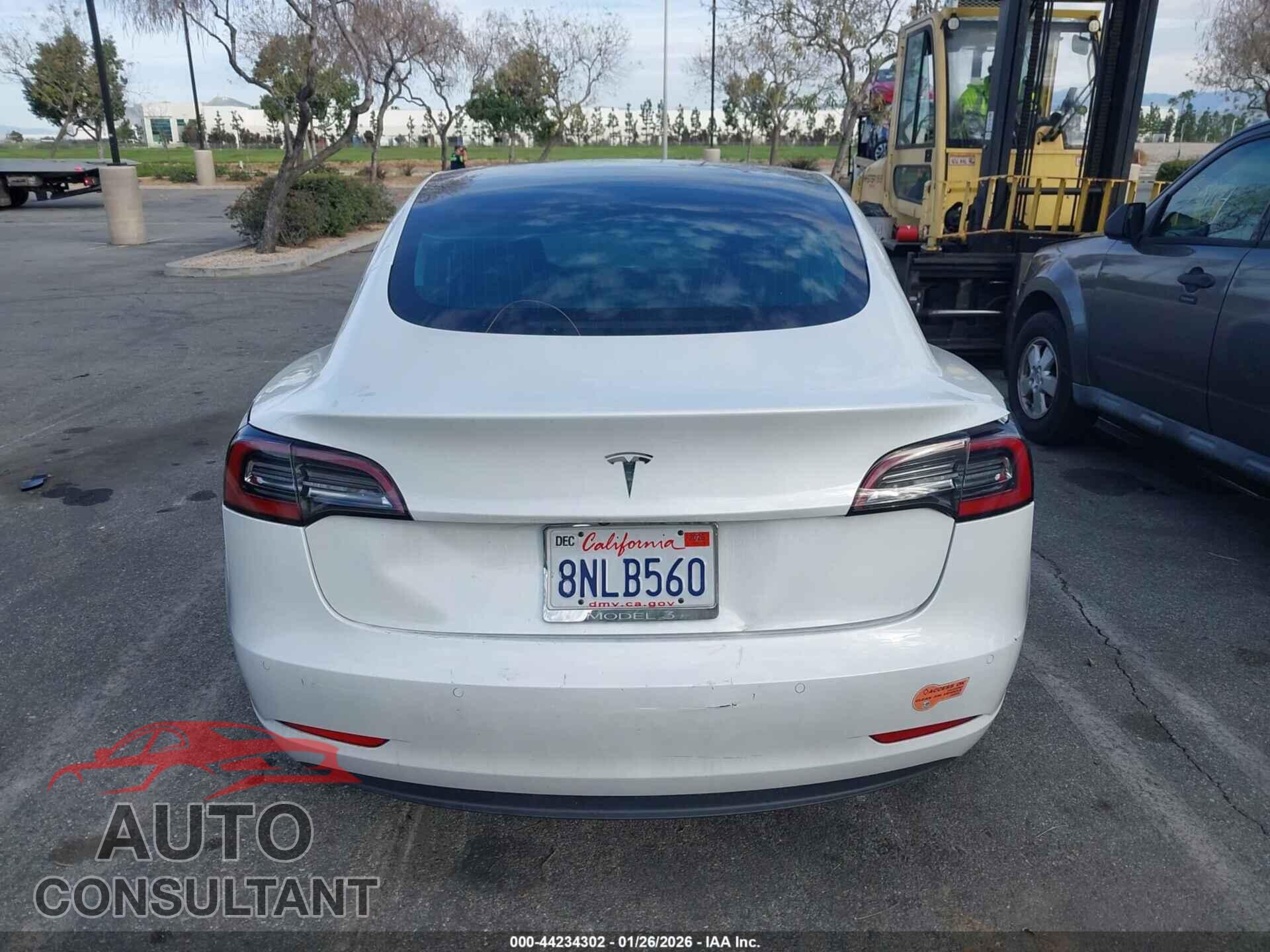 TESLA MODEL 3 2020 - 5YJ3E1EA1LF613787
