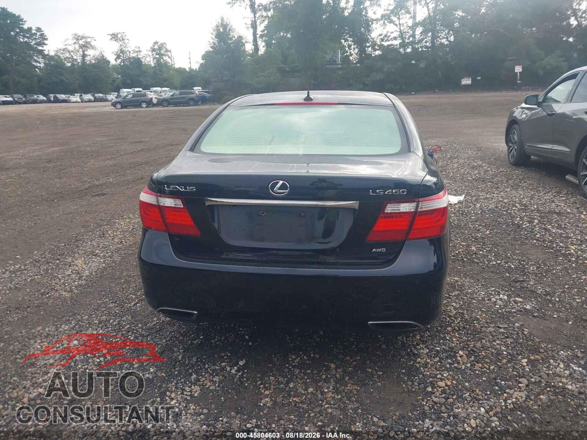 LEXUS LS 460 2009 - JTHCL46F495003537