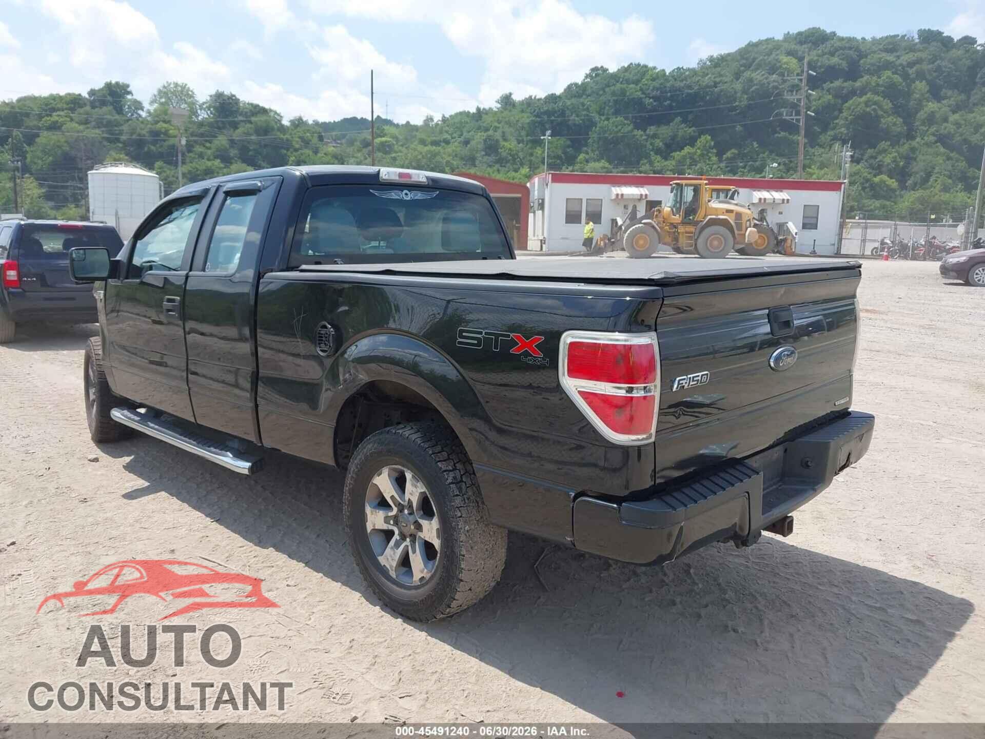 FORD F-150 2013 - 1FTFX1EF0DFB96887
