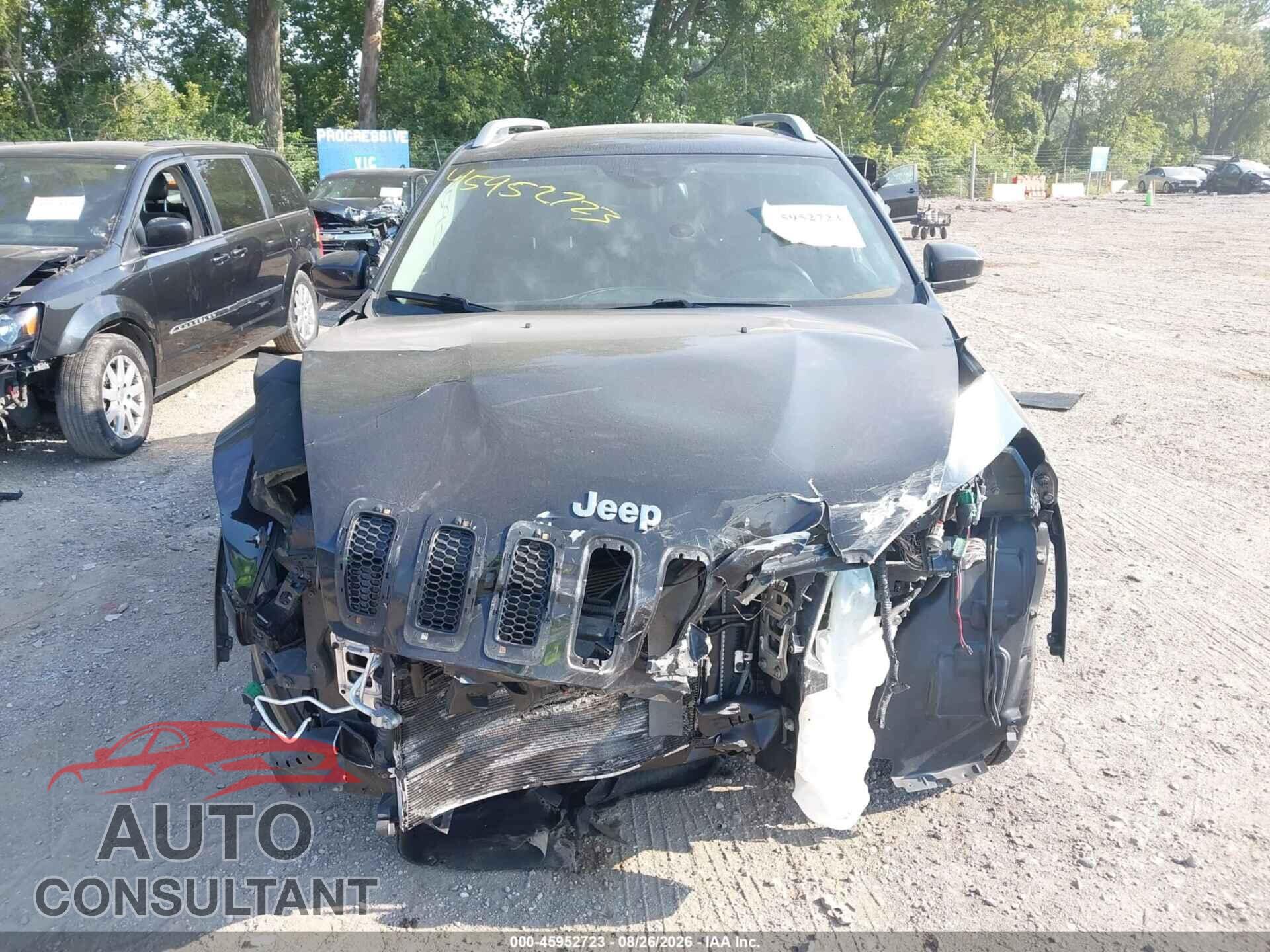 JEEP CHEROKEE 2015 - 1C4PJLDB1FW738047