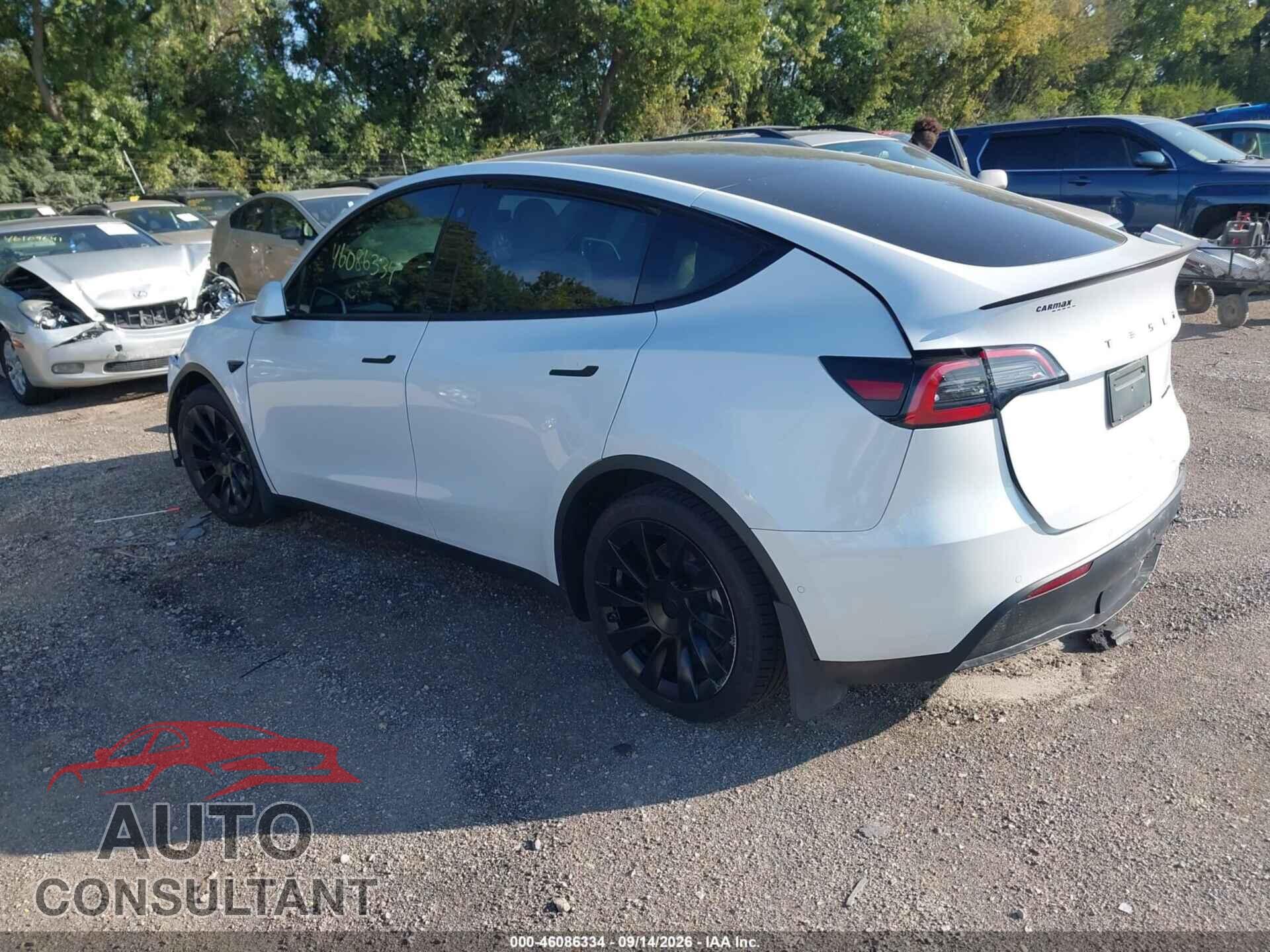 TESLA MODEL Y 2021 - 5YJYGDEE3MF144367