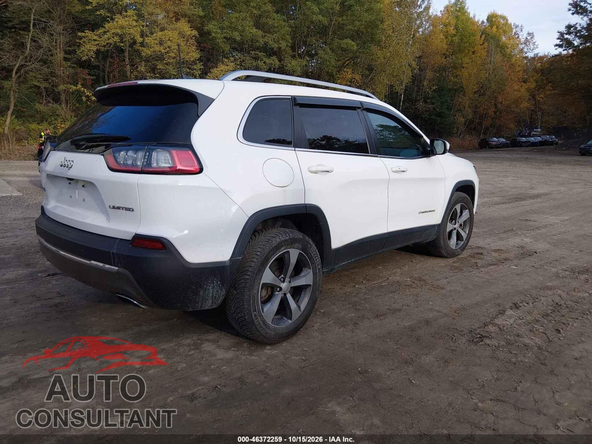 JEEP CHEROKEE 2019 - 1C4PJMDN7KD224497