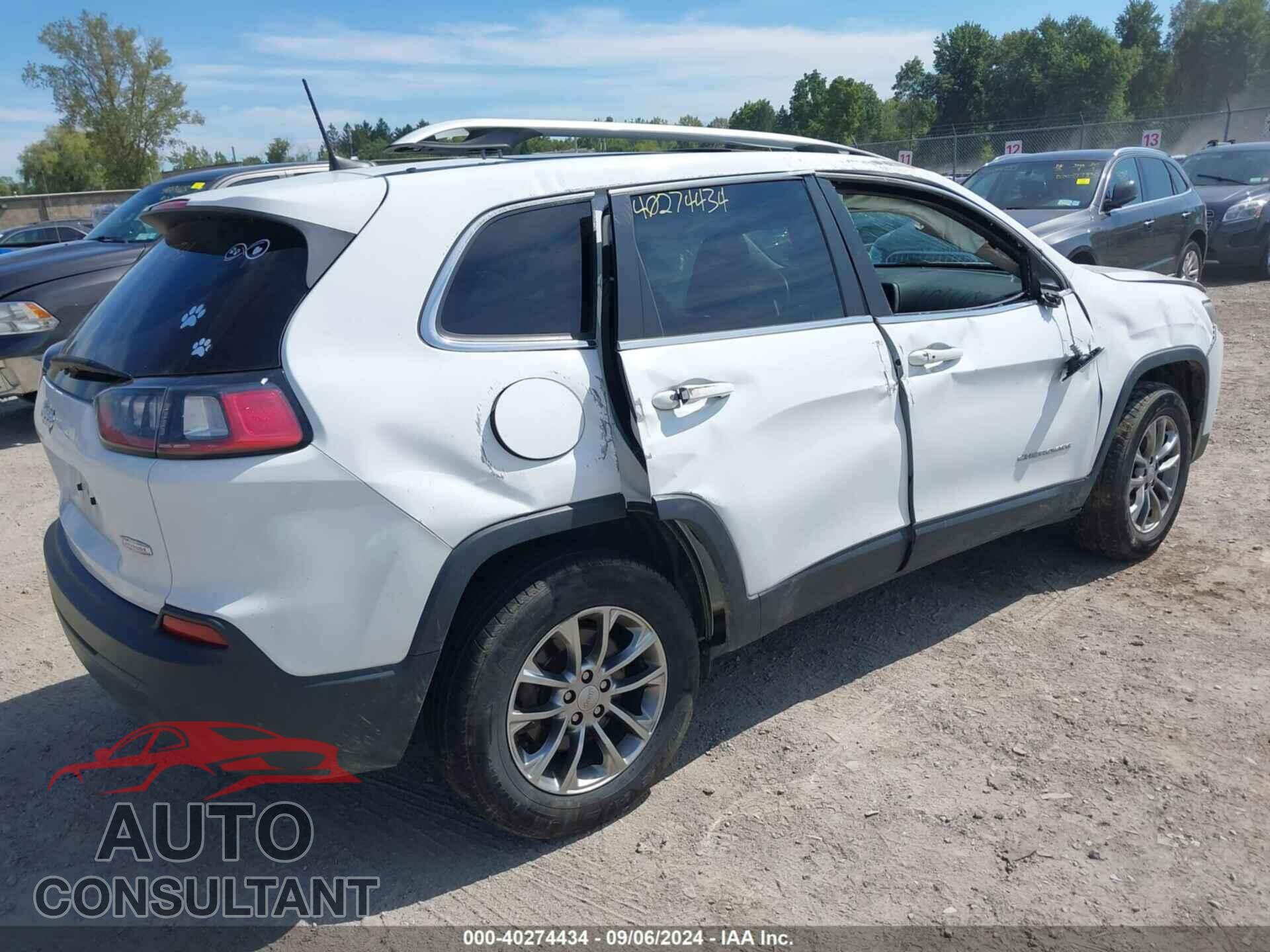JEEP CHEROKEE 2019 - 1C4PJMLB9KD174791